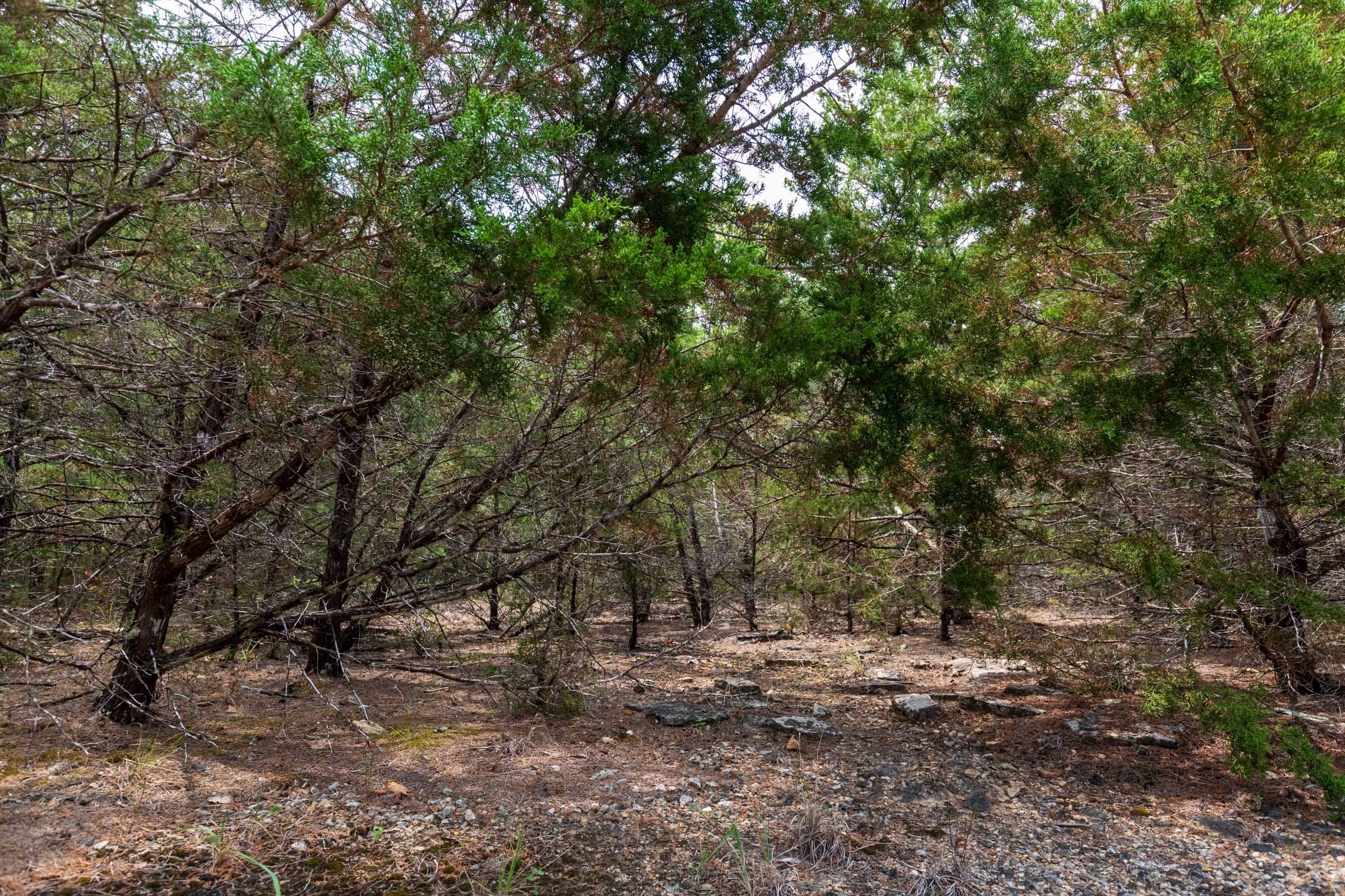 Heritage Bend Tract 26 photo 7