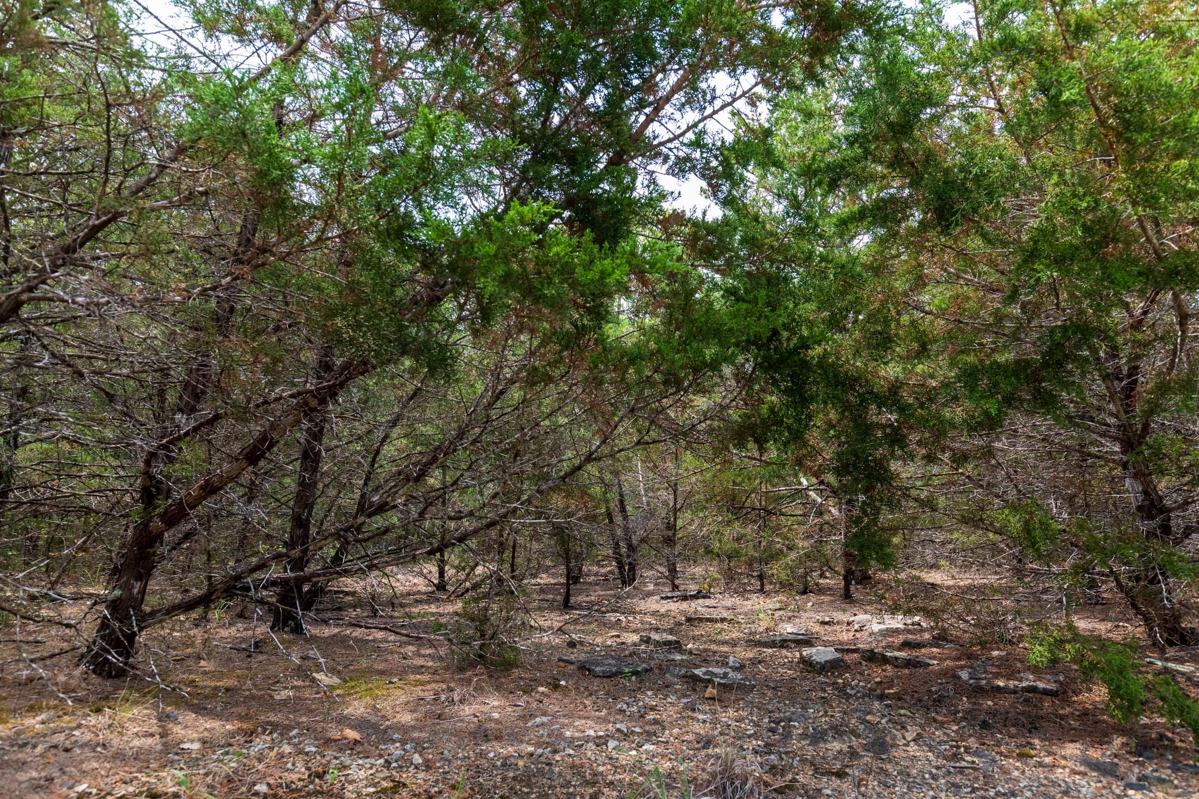 Heritage Bend Tract 26 photo 8