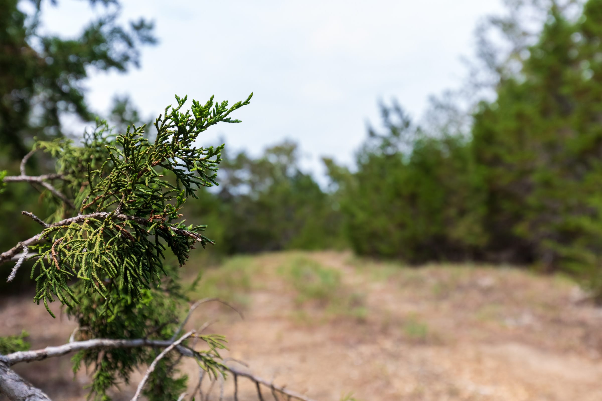 Heritage Bend Tract 26 photo 9