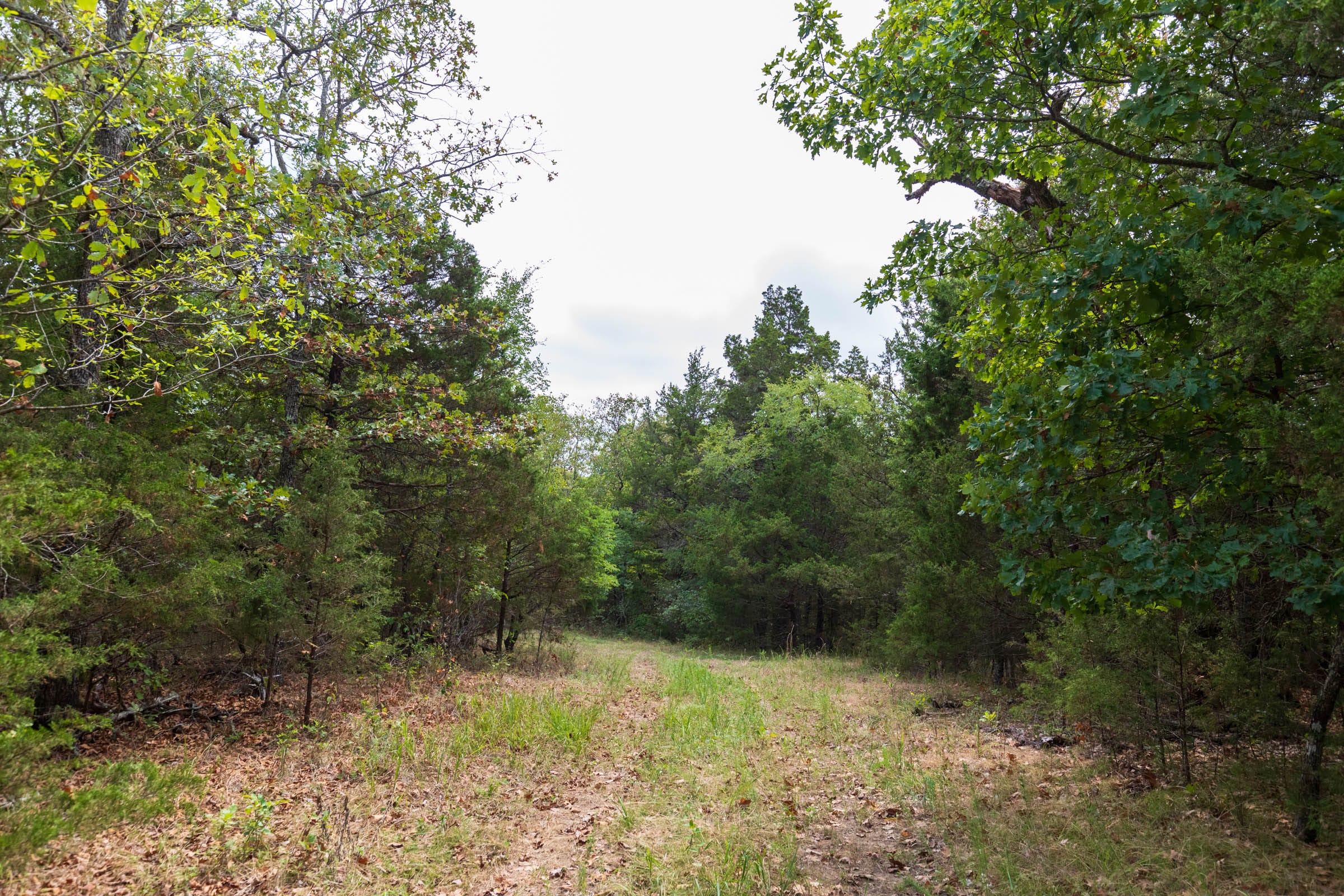 Heritage Bend Tract 26 photo 5
