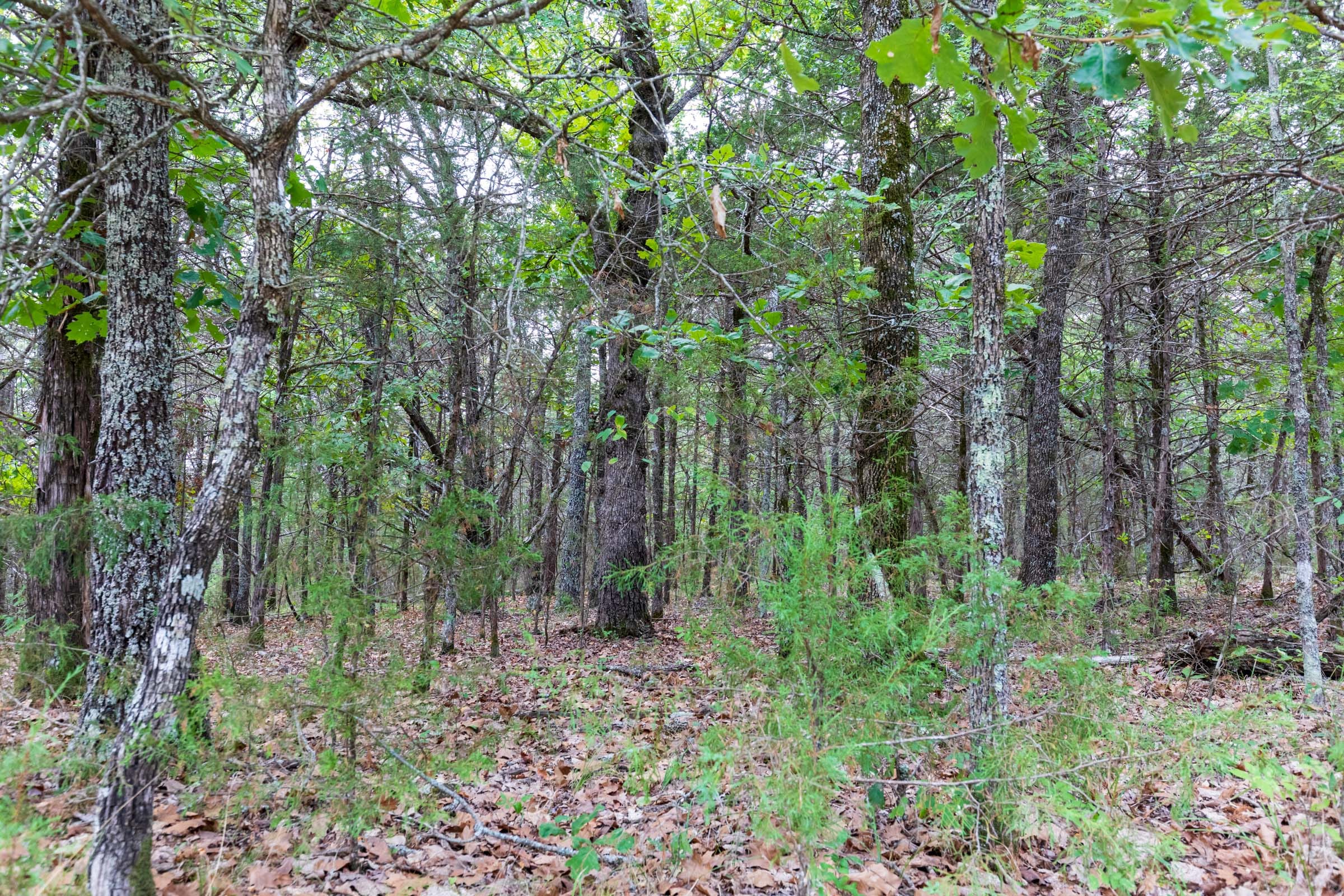 Heritage Bend Tract 26 photo 11