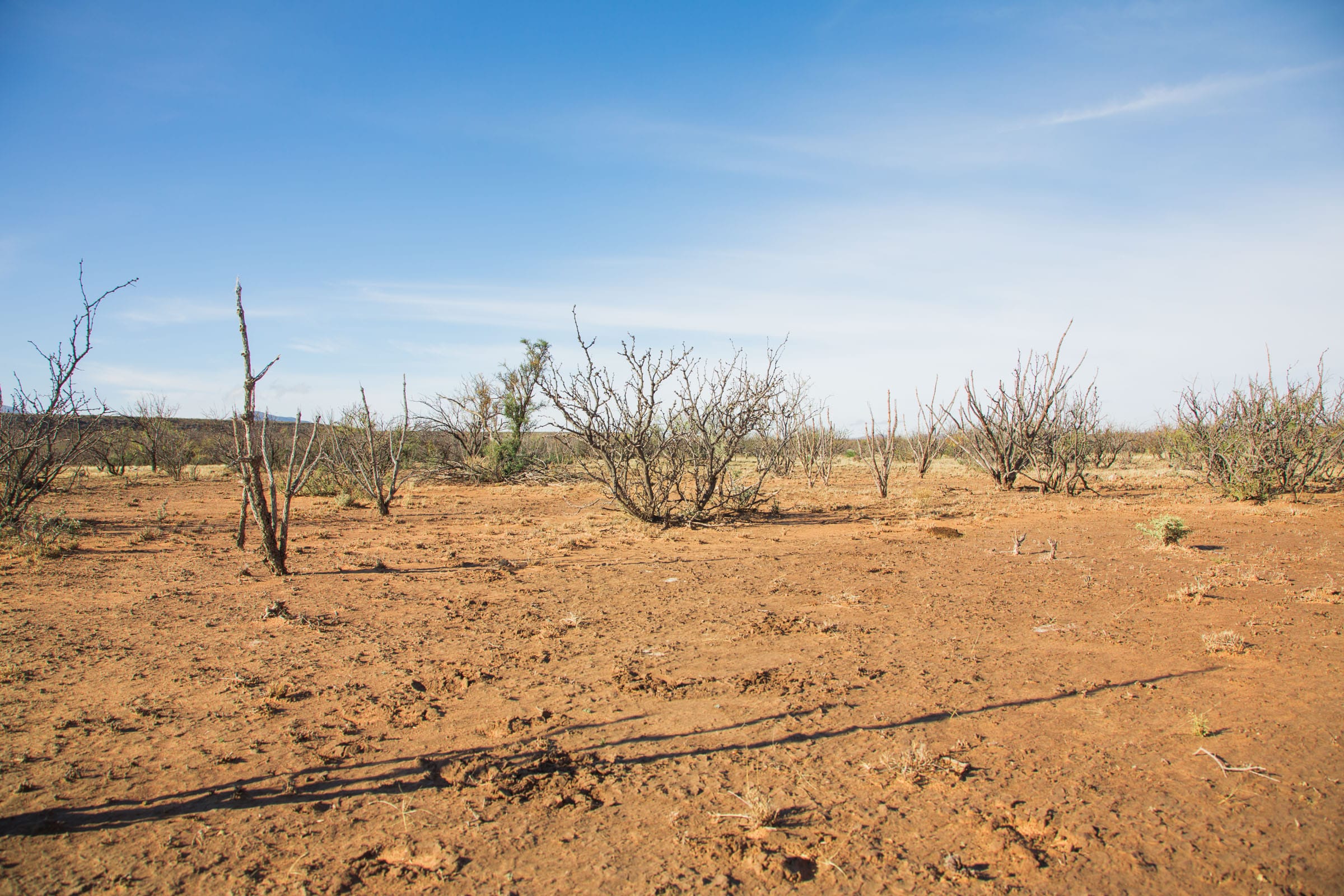 Sunset Ranches Tract 17 photo 5