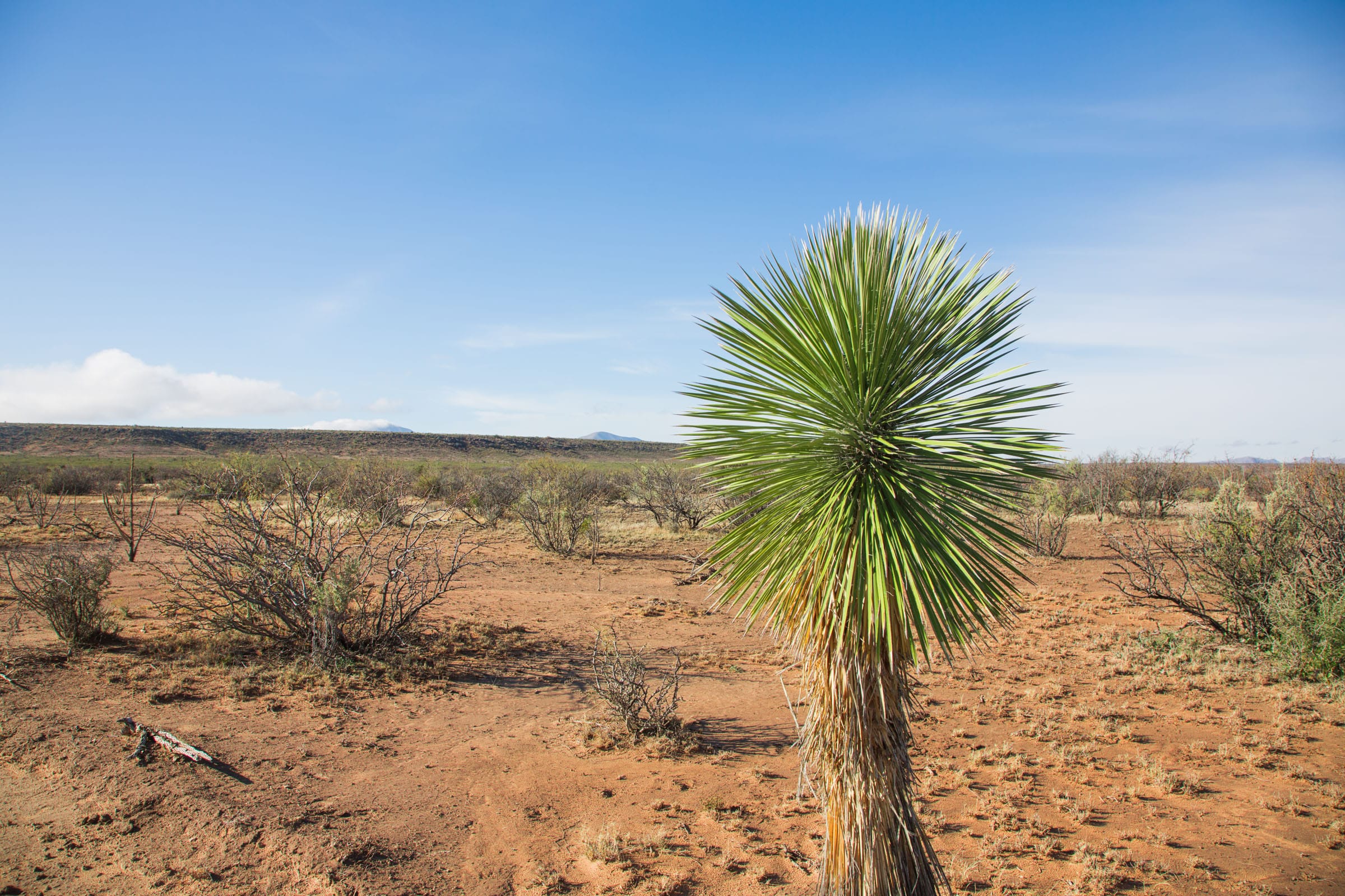 Sunset Ranches Tract 17 photo 8