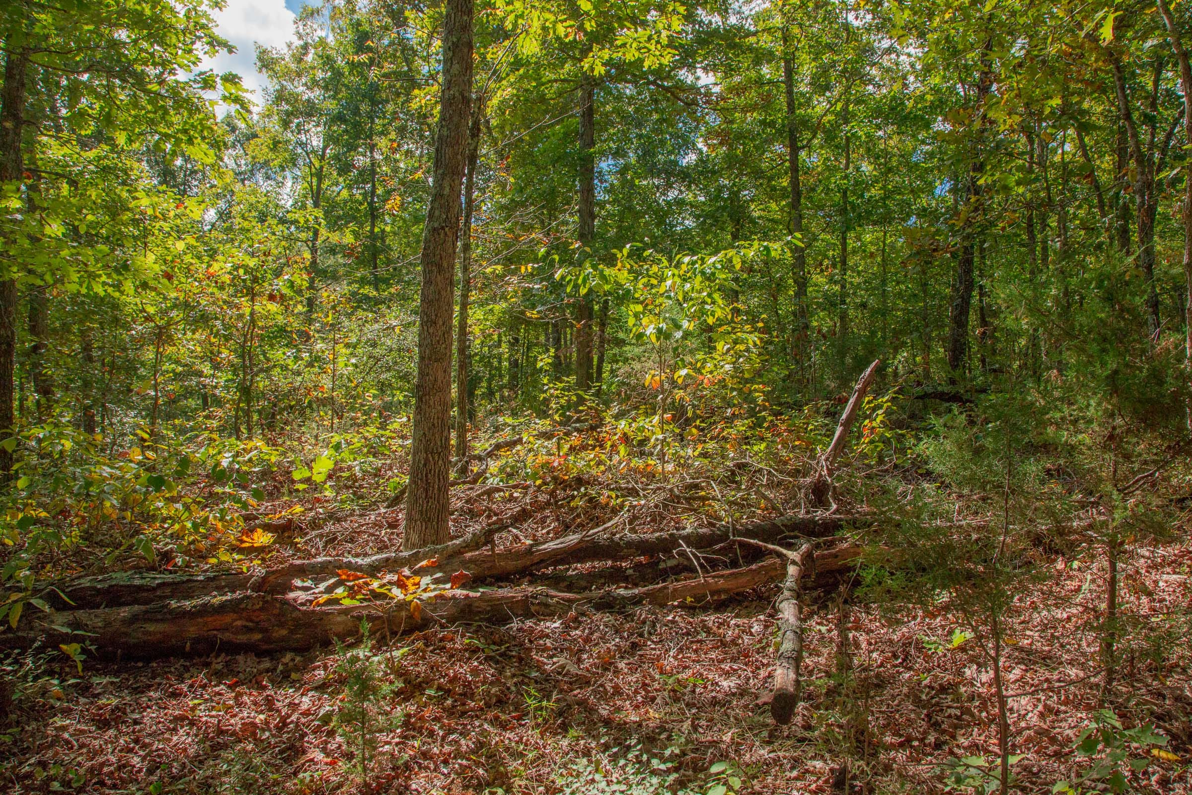 Wagon Wheel Ranch Tract 36 photo 2