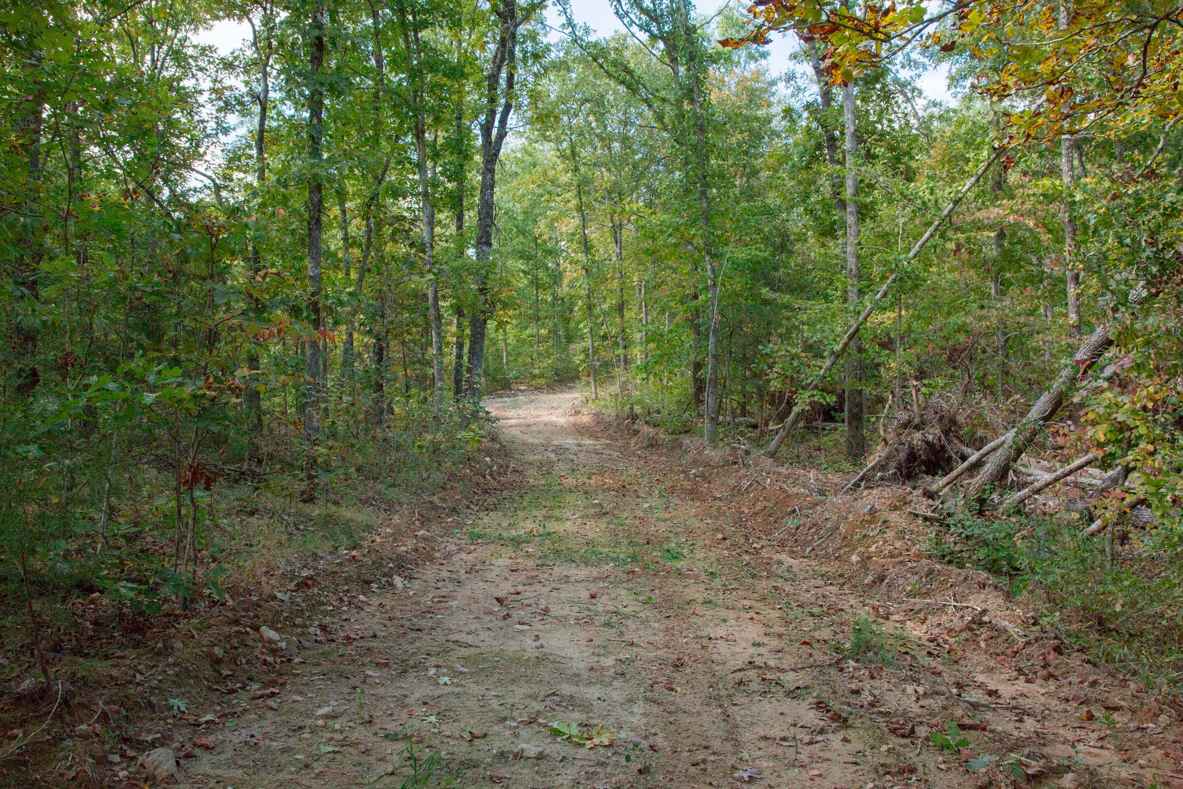 Wagon Wheel Ranch Tract 36 photo 3