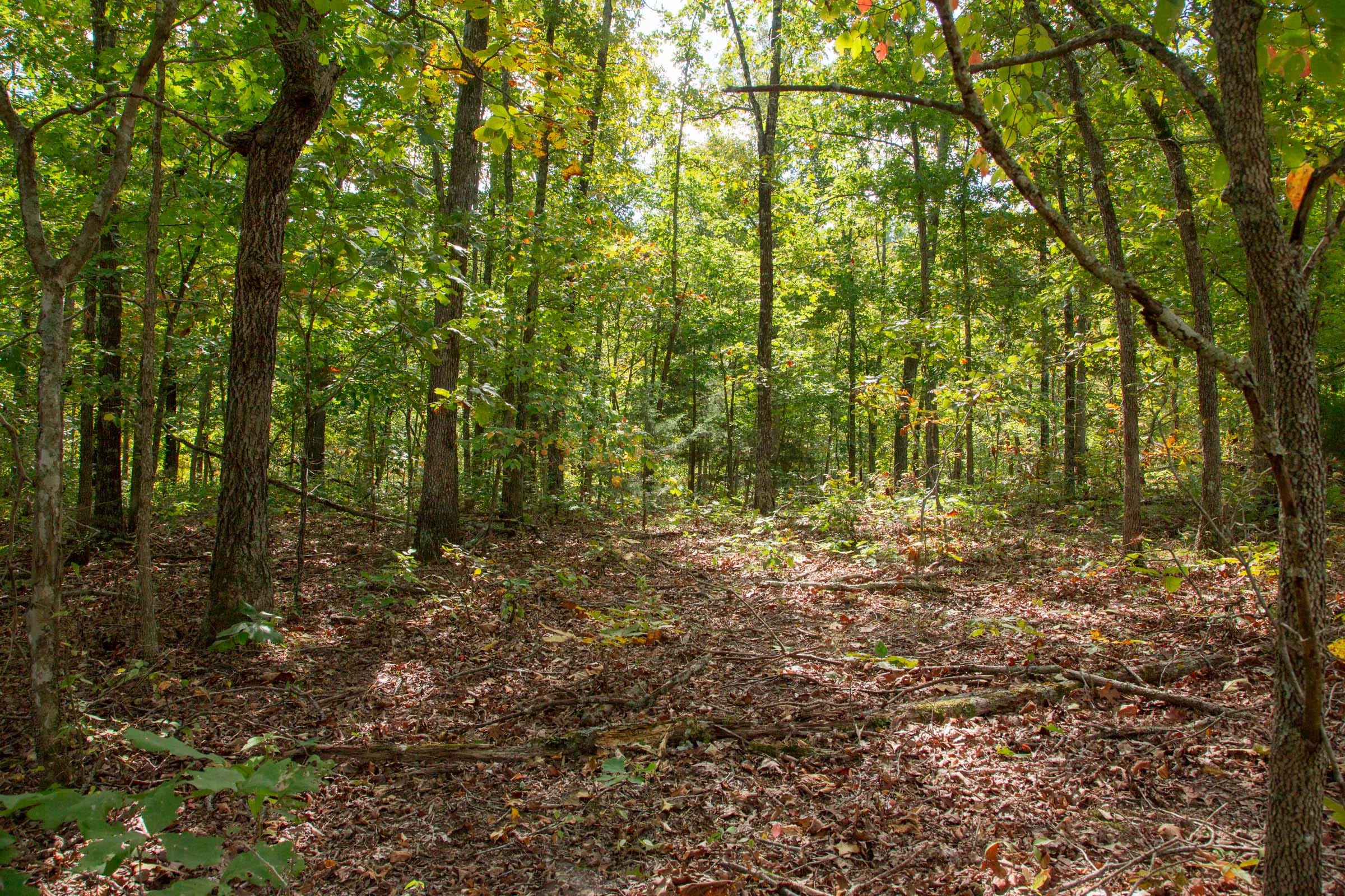Wagon Wheel Ranch Tract 36 photo 1