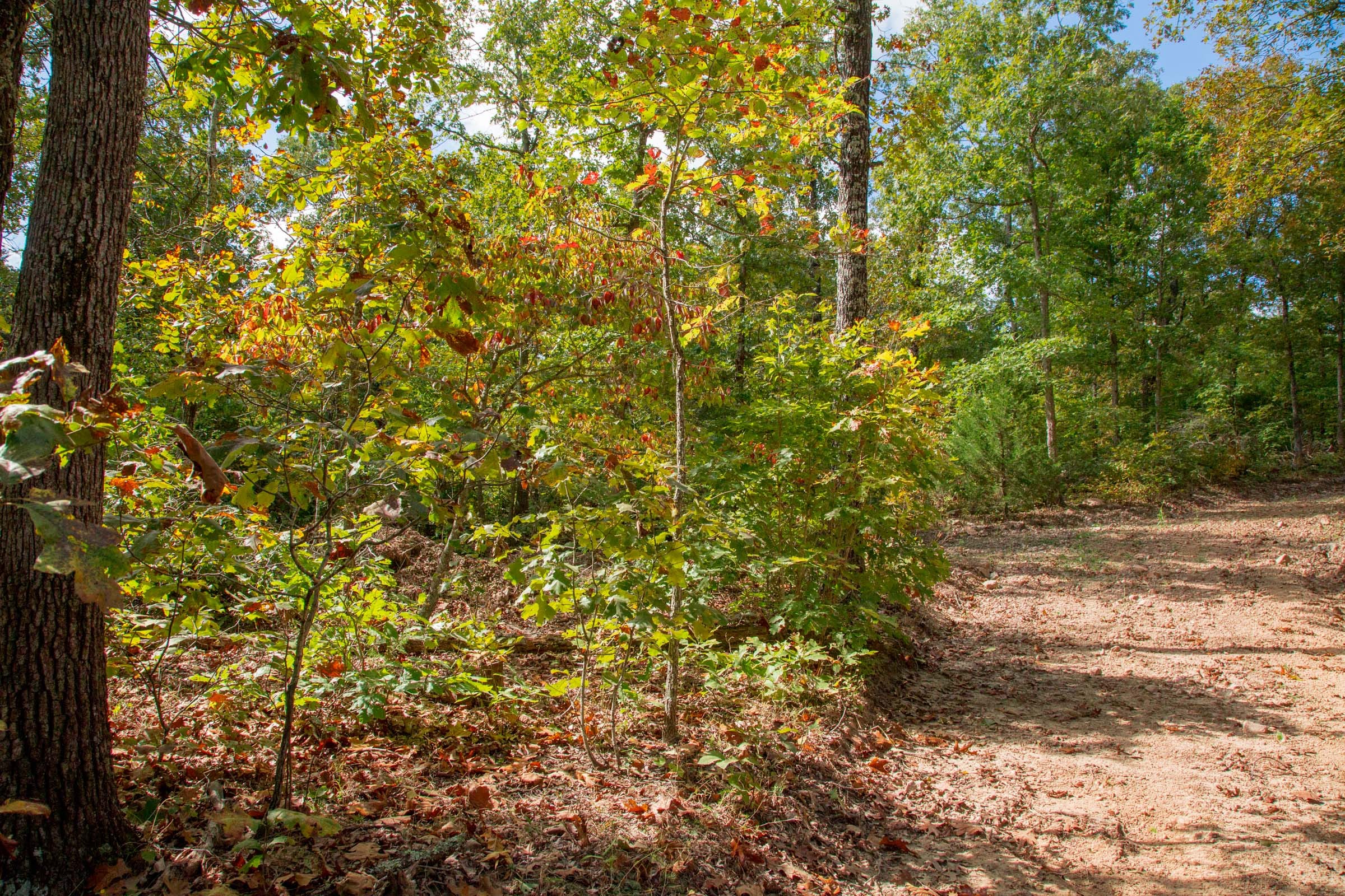 Wagon Wheel Ranch Tract 36 photo 7
