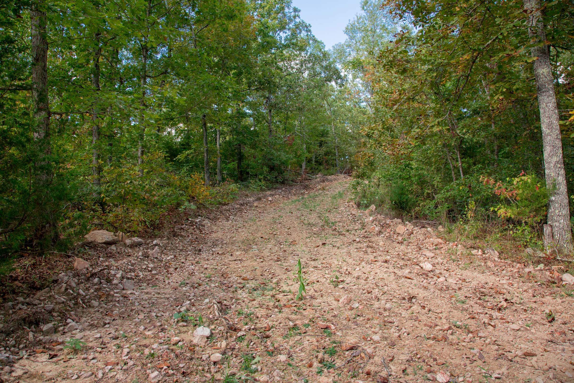 Wagon Wheel Ranch Tract 36 photo 8