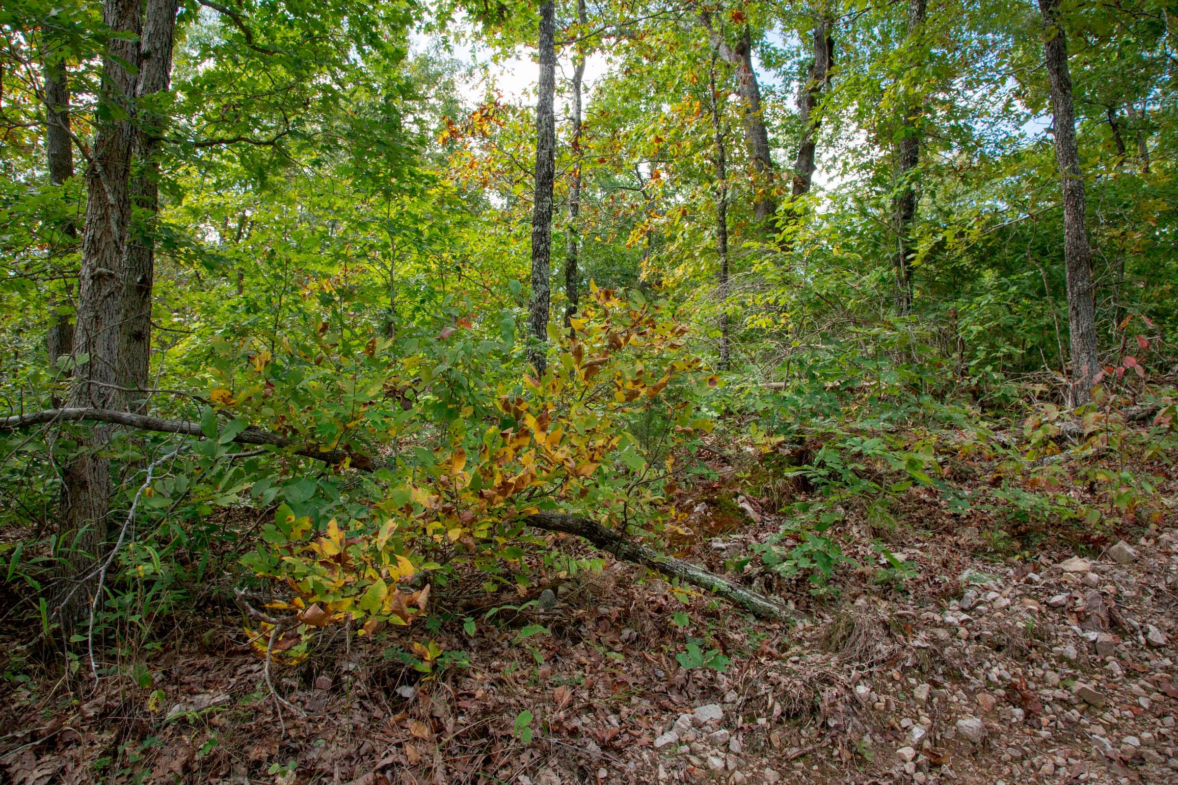 Wagon Wheel Ranch Tract 36 photo 10