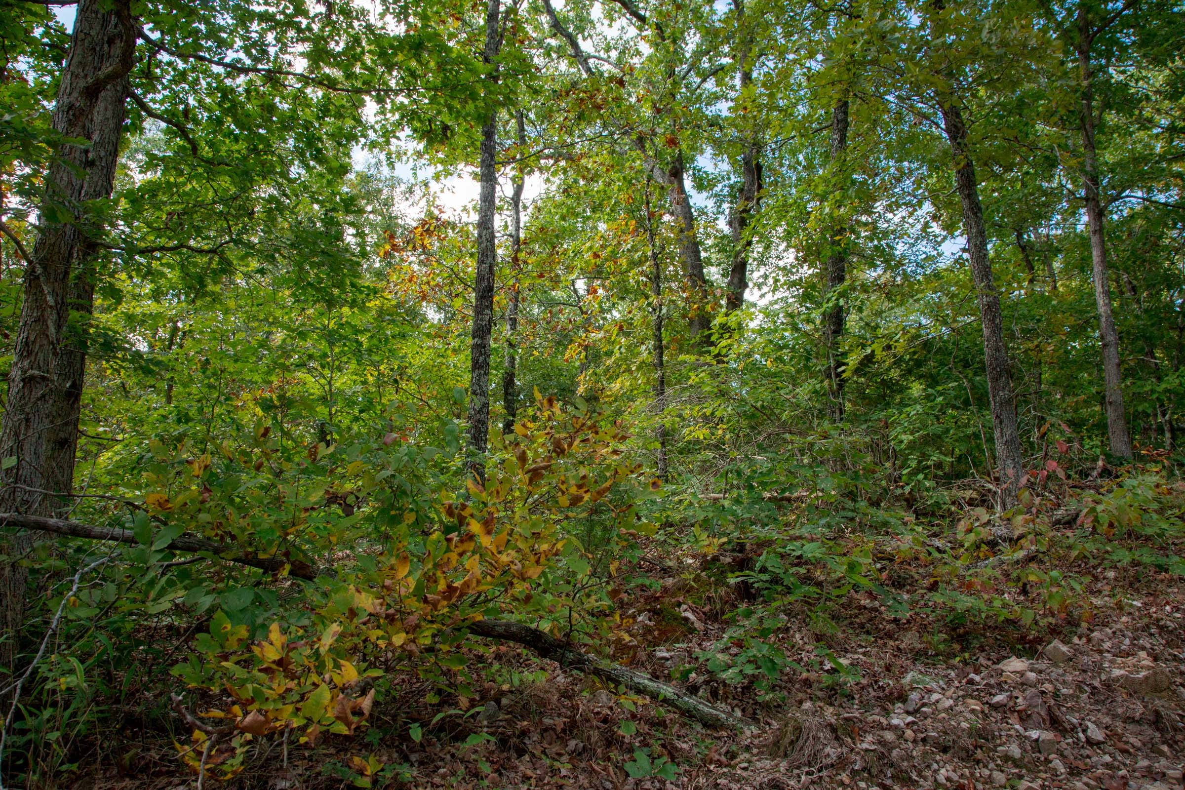 Wagon Wheel Ranch Tract 36 photo 11