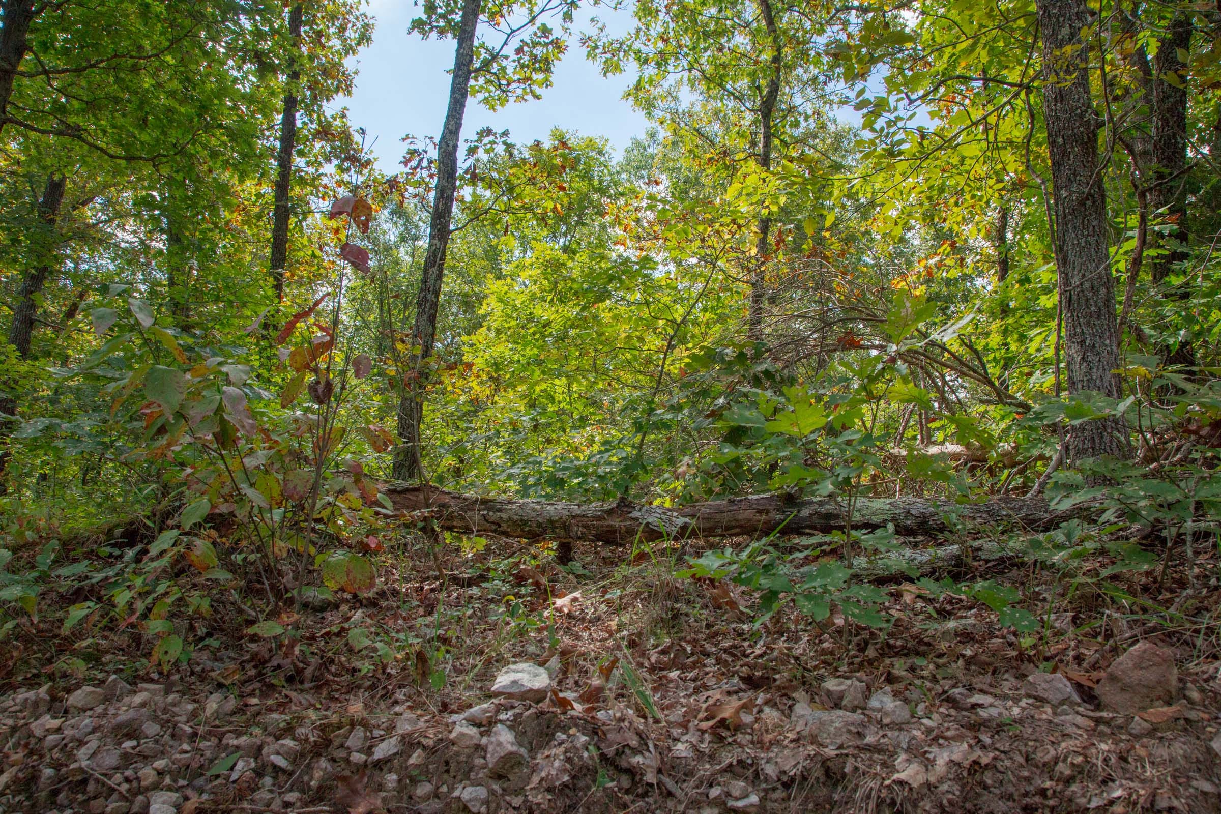 Wagon Wheel Ranch Tract 36 photo 12