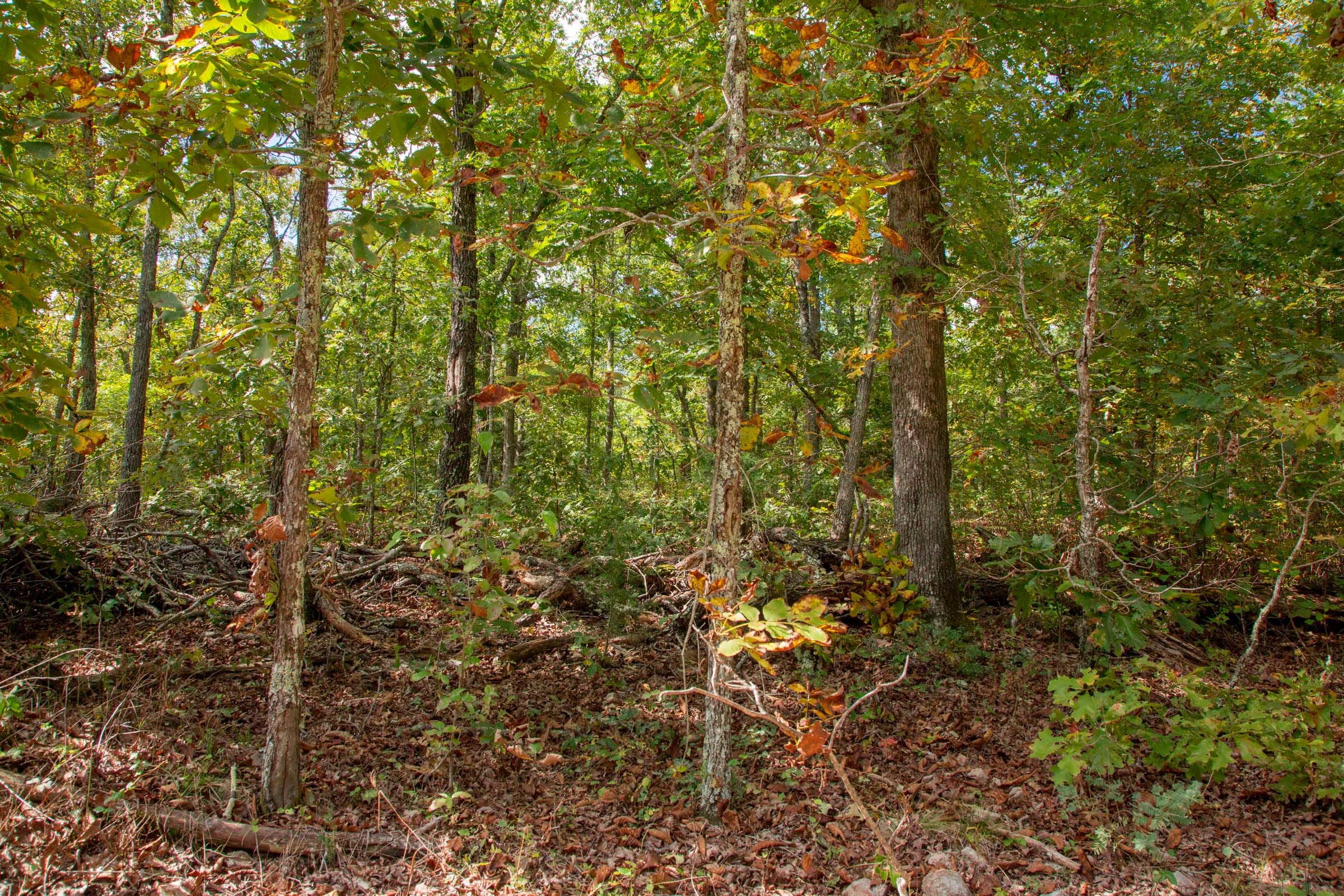Wagon Wheel Ranch Tract 36 photo 13