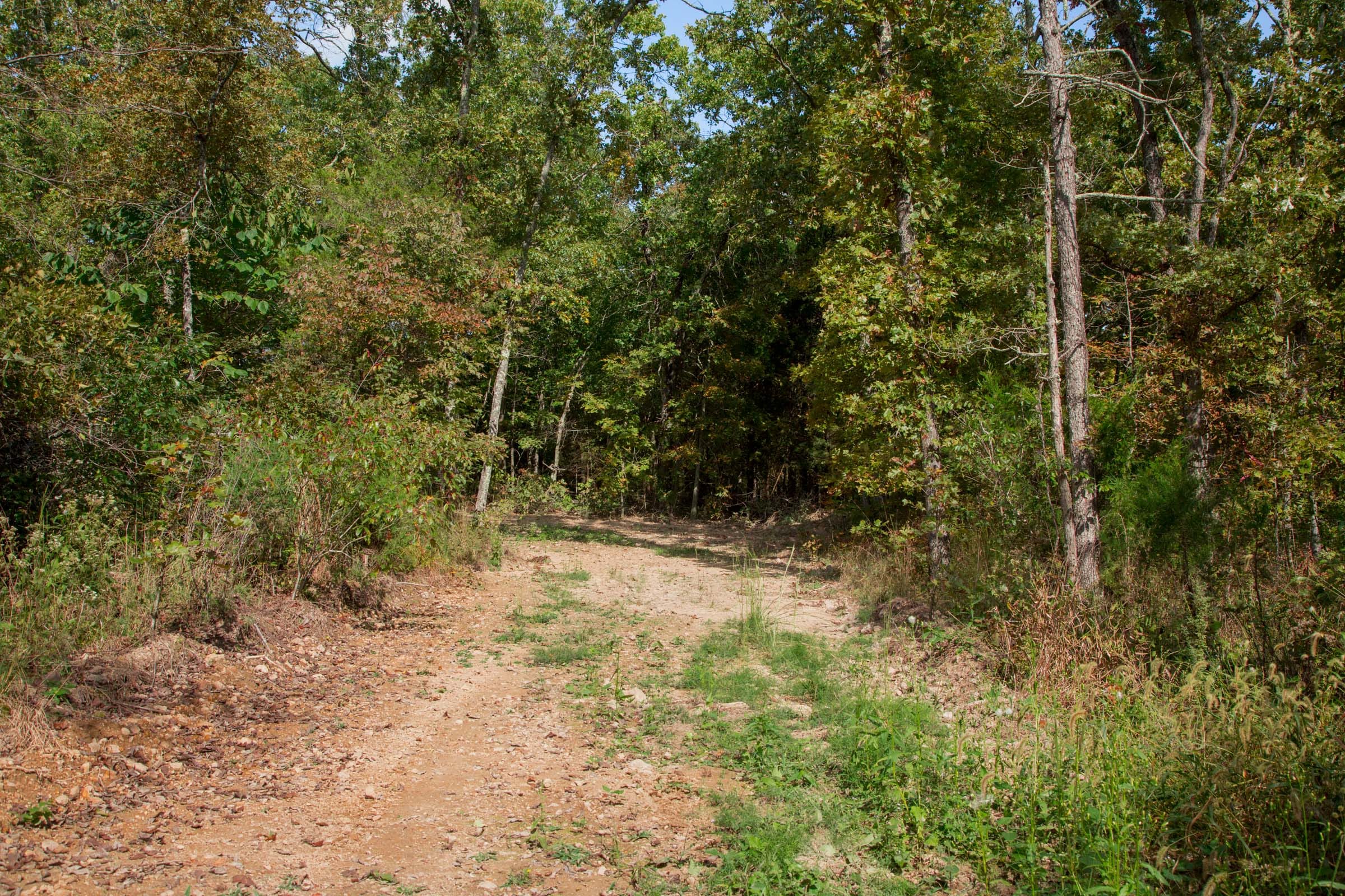 Wagon Wheel Ranch Tract 36 photo 14