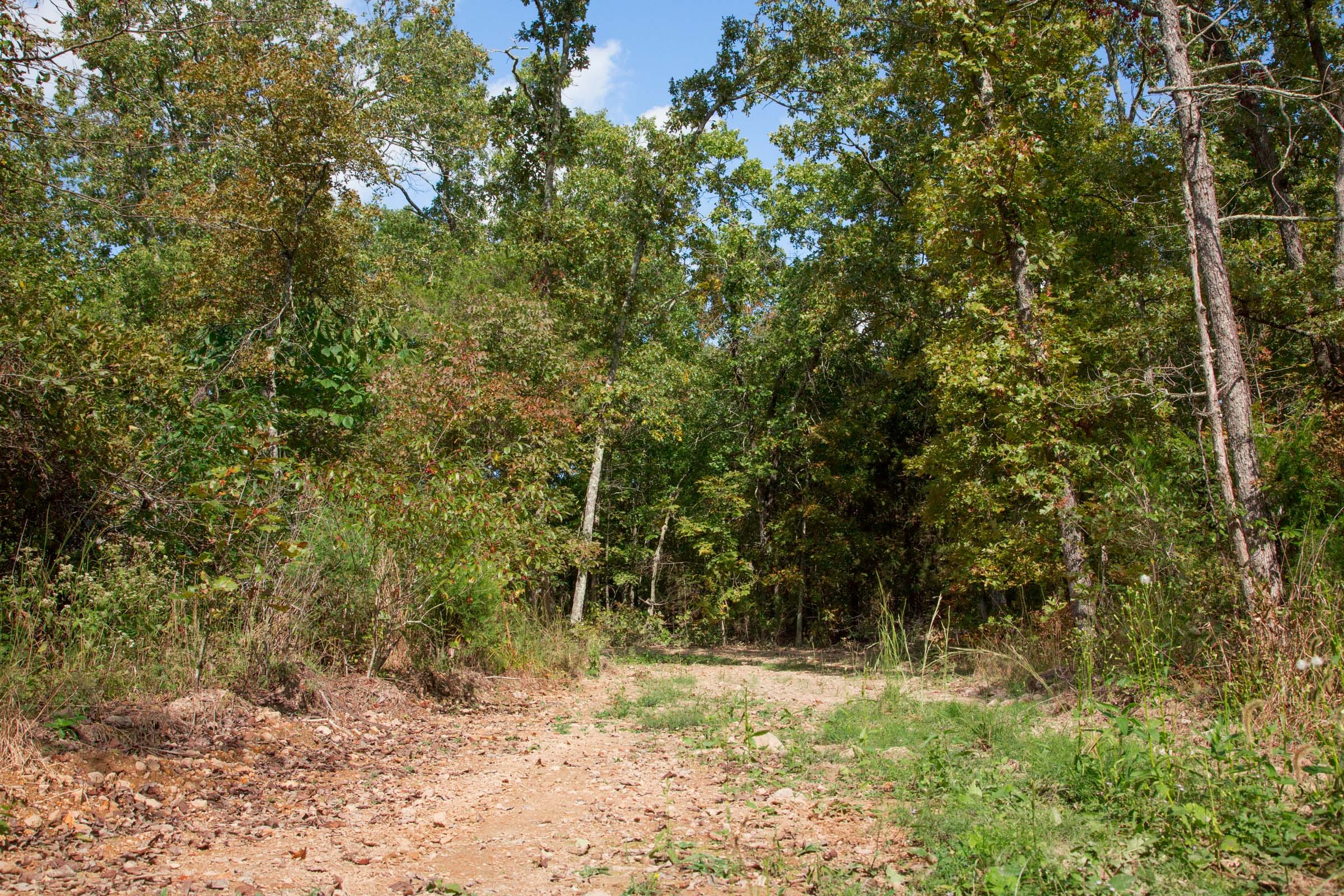 Wagon Wheel Ranch Tract 36 photo 15