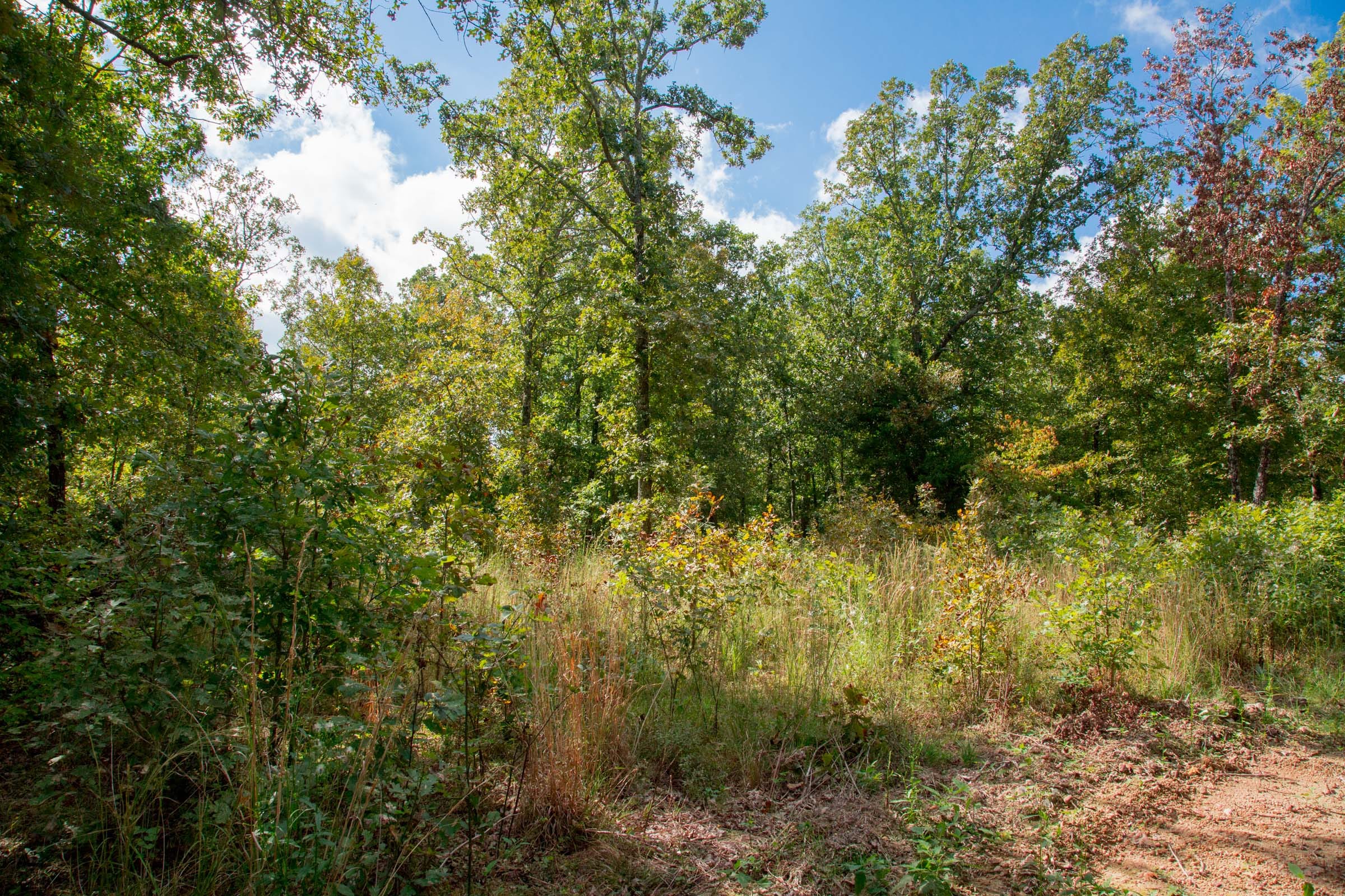 Wagon Wheel Ranch Tract 36 photo 17
