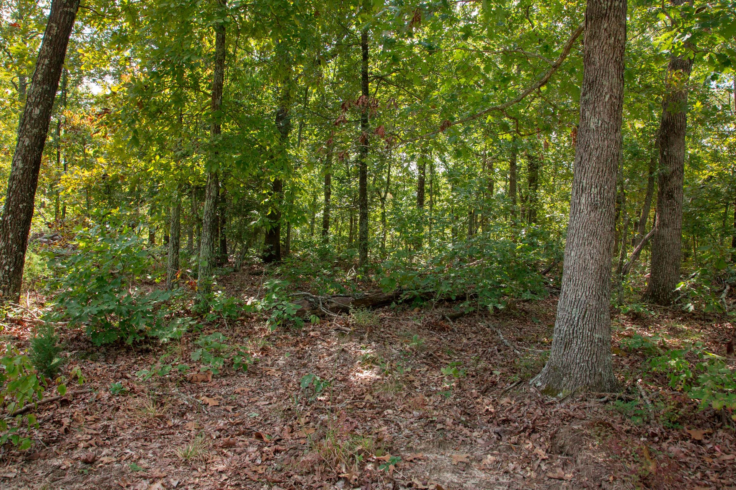 Wagon Wheel Ranch Tract 36 photo 18