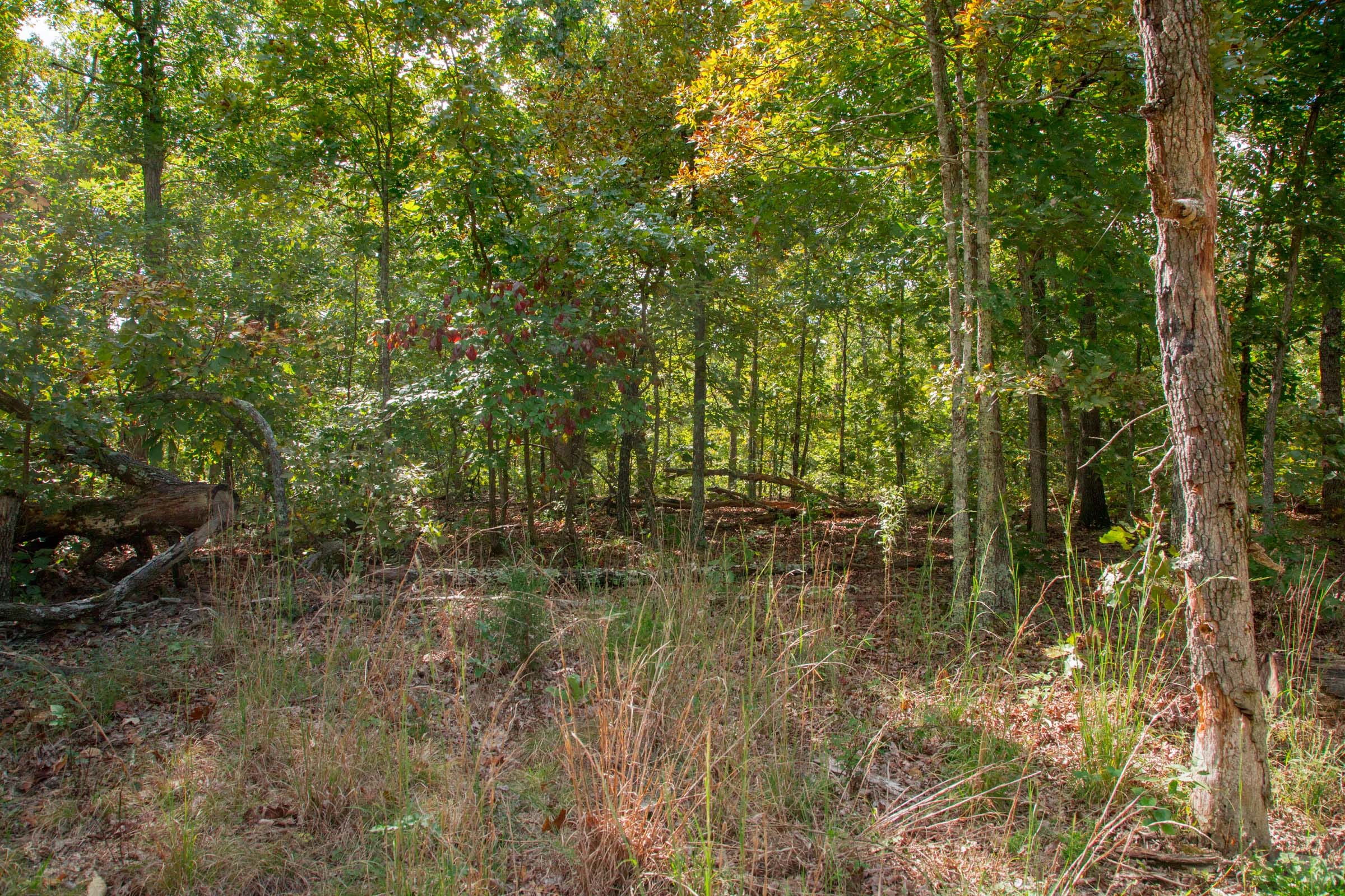 Wagon Wheel Ranch Tract 36 photo 19