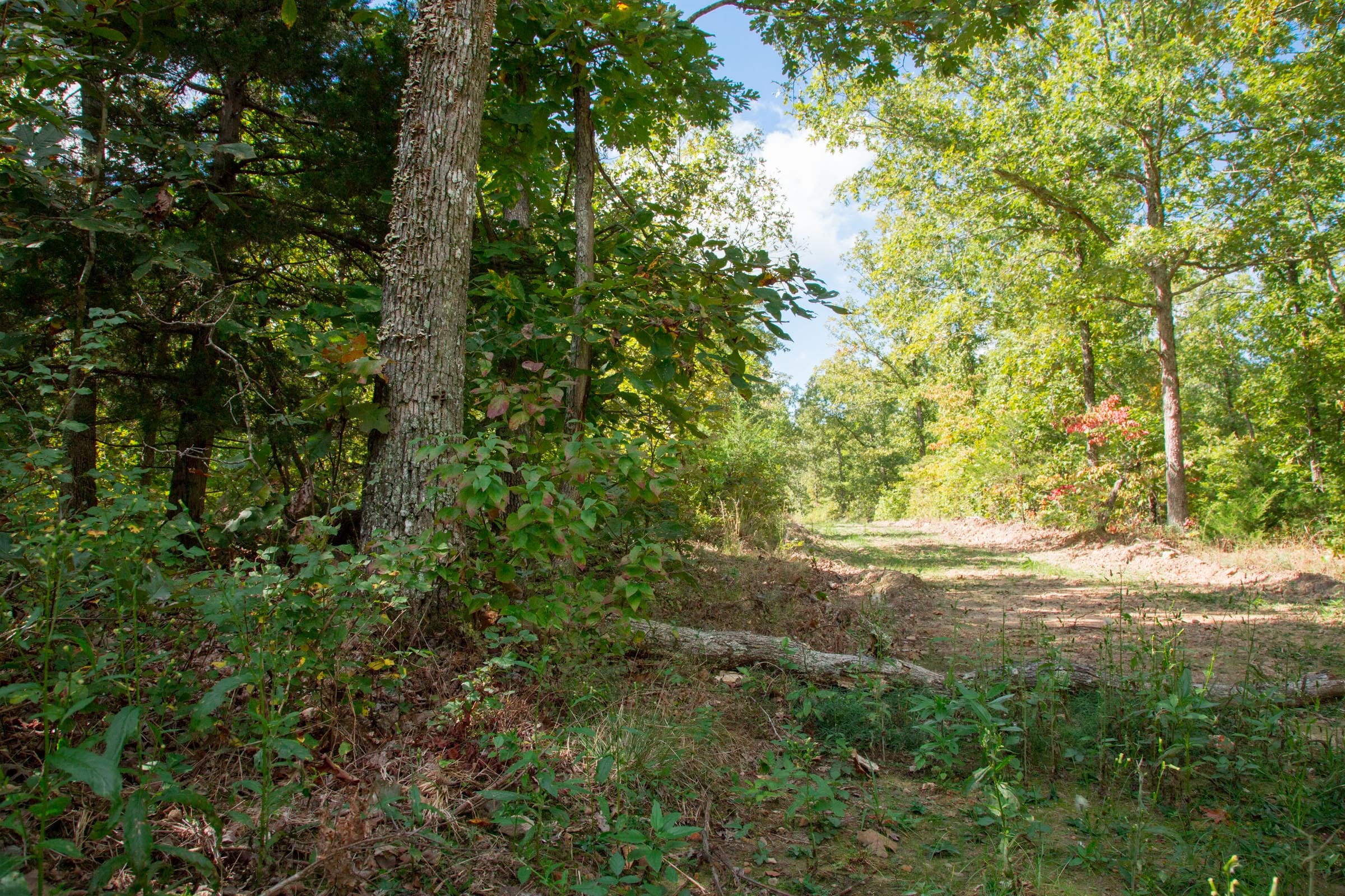 Wagon Wheel Ranch Tract 36 photo 20