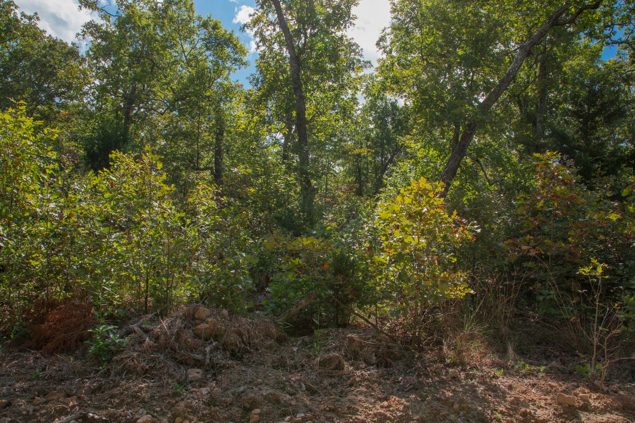 Wagon Wheel Ranch Tract 36 photo 22