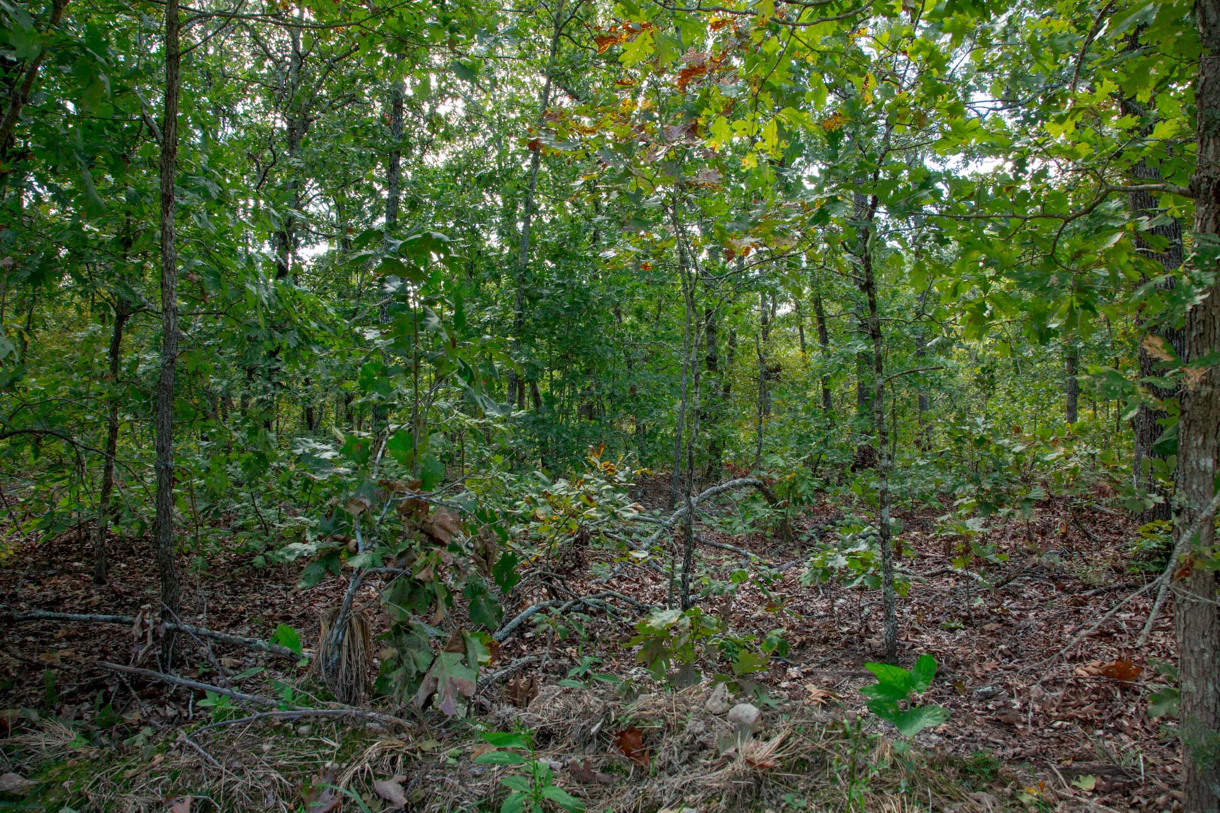 Wagon Wheel Ranch Tract 36 photo 23