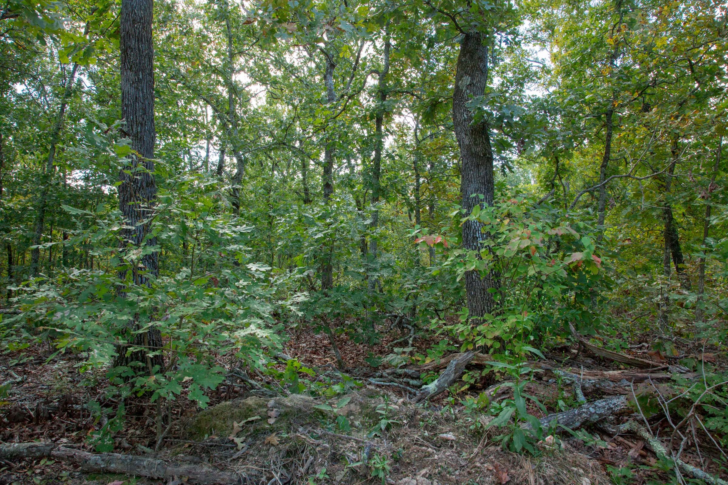 Wagon Wheel Ranch Tract 36 photo 24