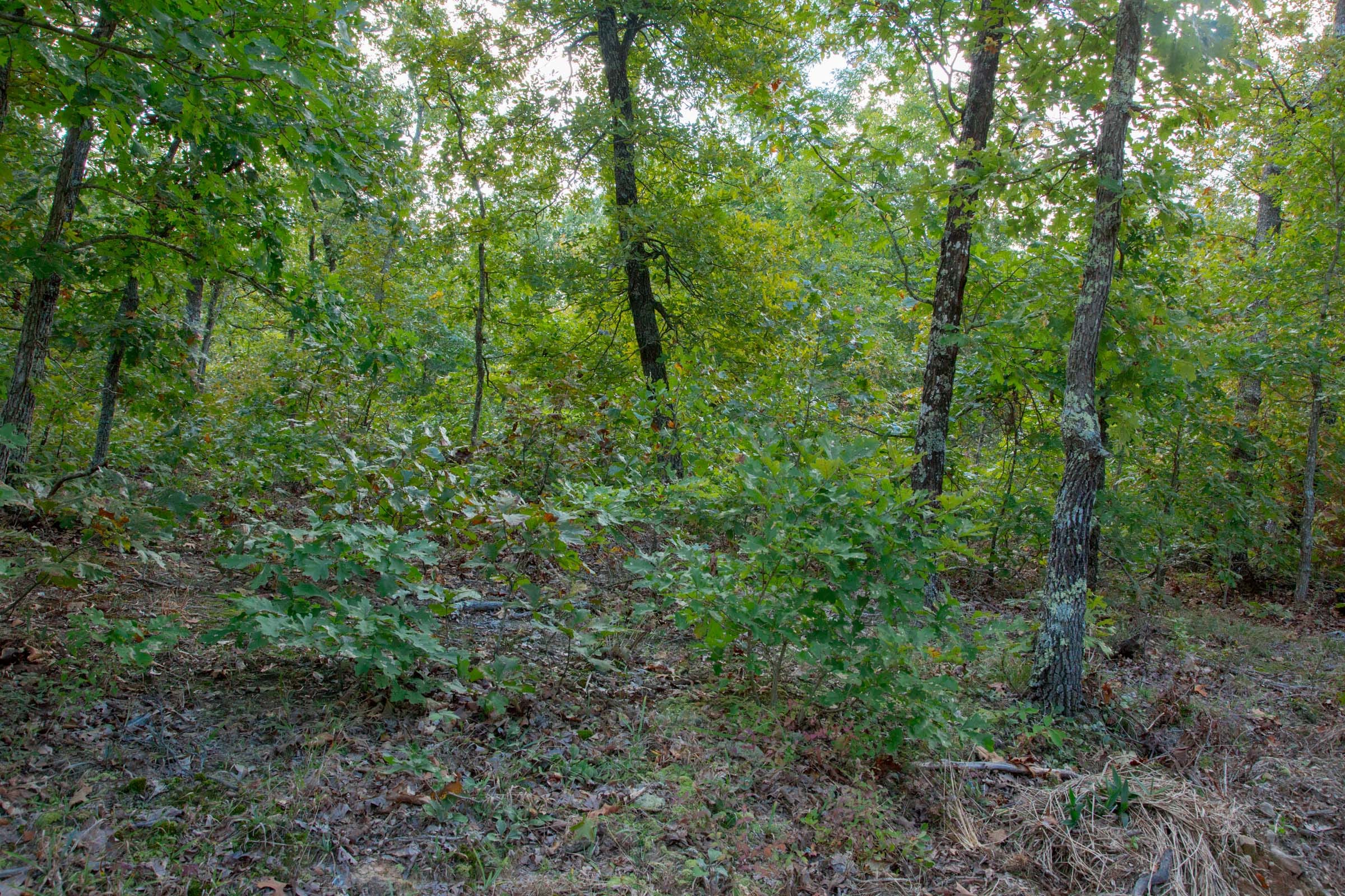 Wagon Wheel Ranch Tract 36 photo 25