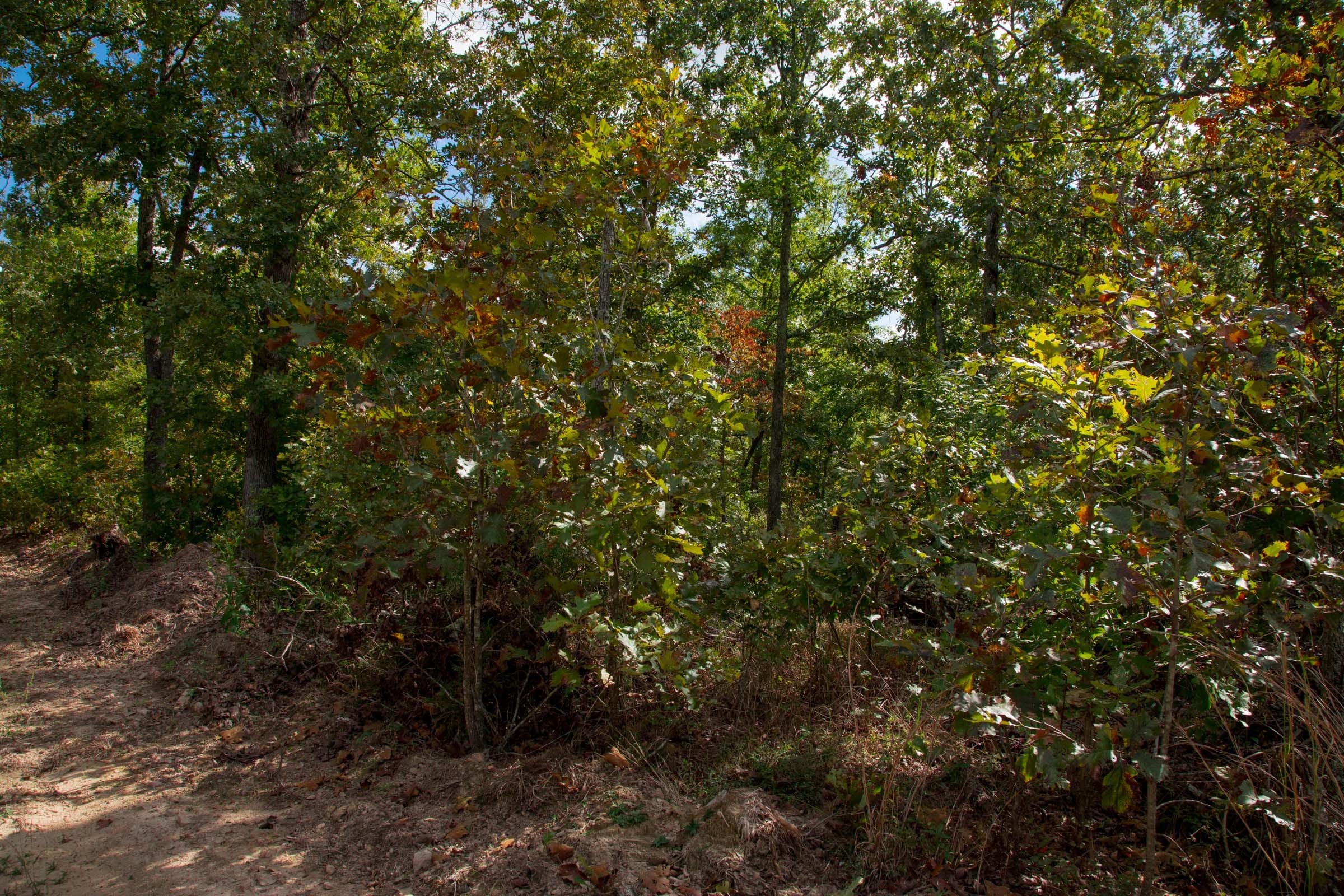 Wagon Wheel Ranch Tract 36 photo 28
