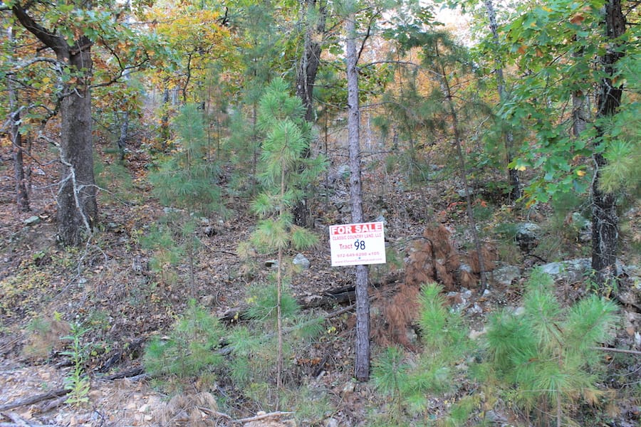 Indian Ridge – Phase III Tract 98 photo 1