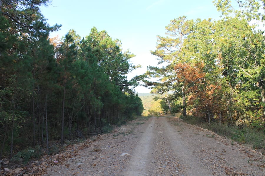 Indian Ridge – Phase III Tract 98 photo 2