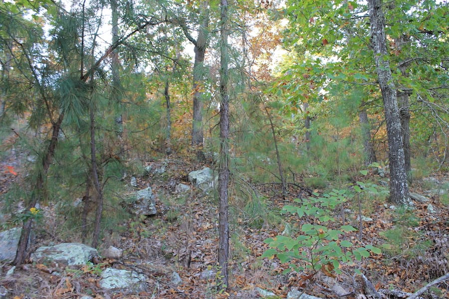 Indian Ridge – Phase III Tract 98 photo 3