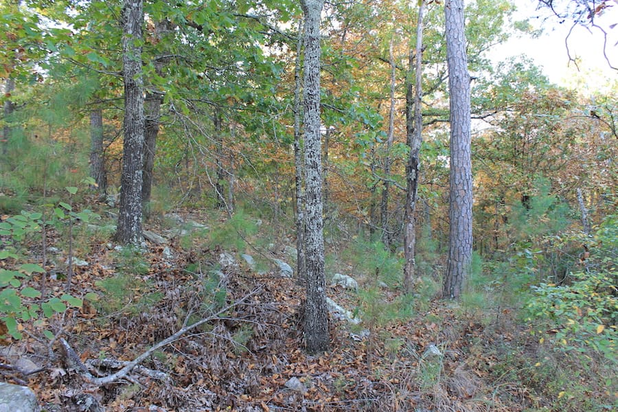 Indian Ridge – Phase III Tract 98 photo 4