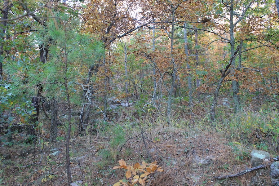 Indian Ridge – Phase III Tract 98 photo 5