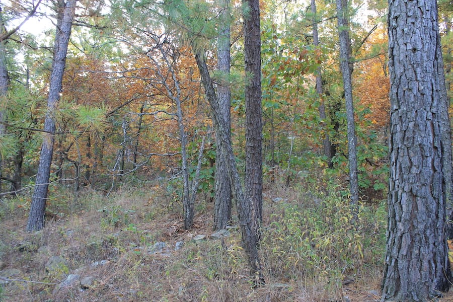 Indian Ridge – Phase III Tract 98 photo 7