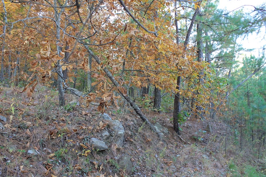 Indian Ridge – Phase III Tract 98 photo 9