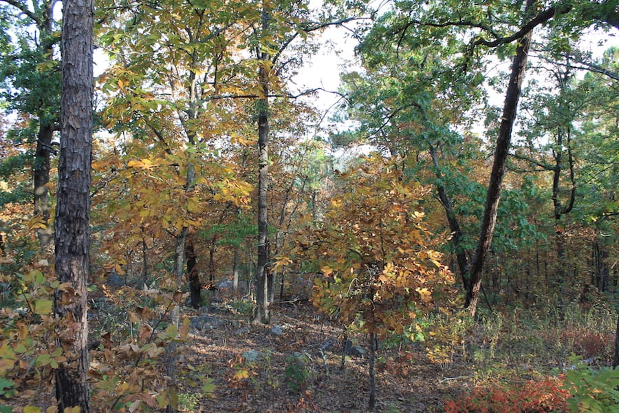Indian Ridge – Phase III Tract 98 photo 10