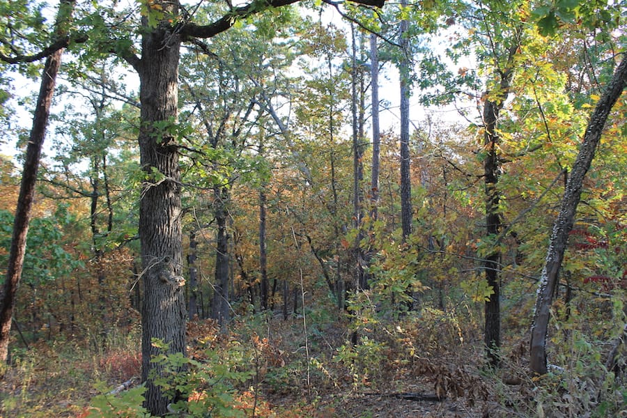 Indian Ridge – Phase III Tract 98 photo 11