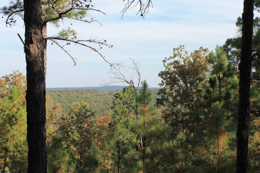 Indian Ridge – Phase III Tract 98 photo 12
