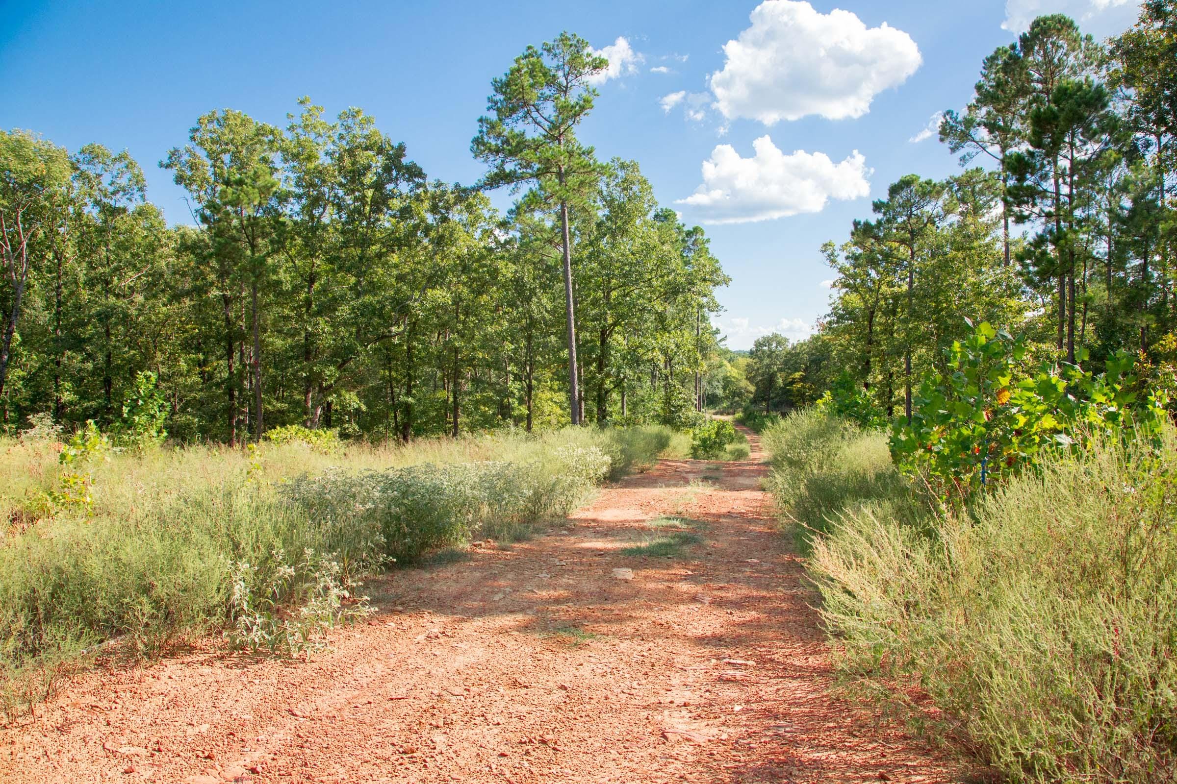 Stone Creek Phase II Tract 267 photo 4