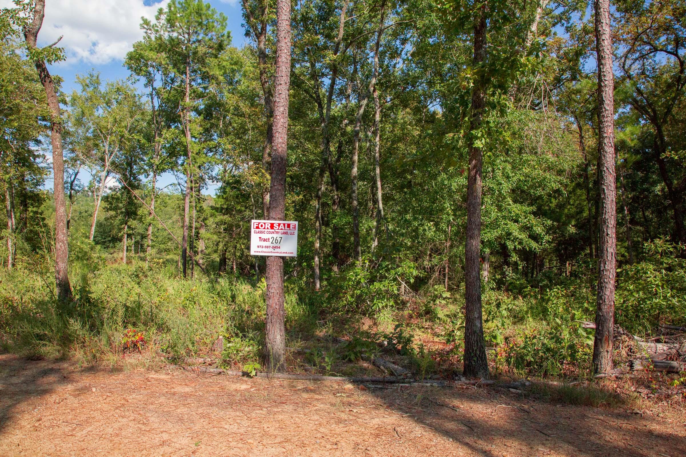 Stone Creek Phase II Tract 267 photo 1