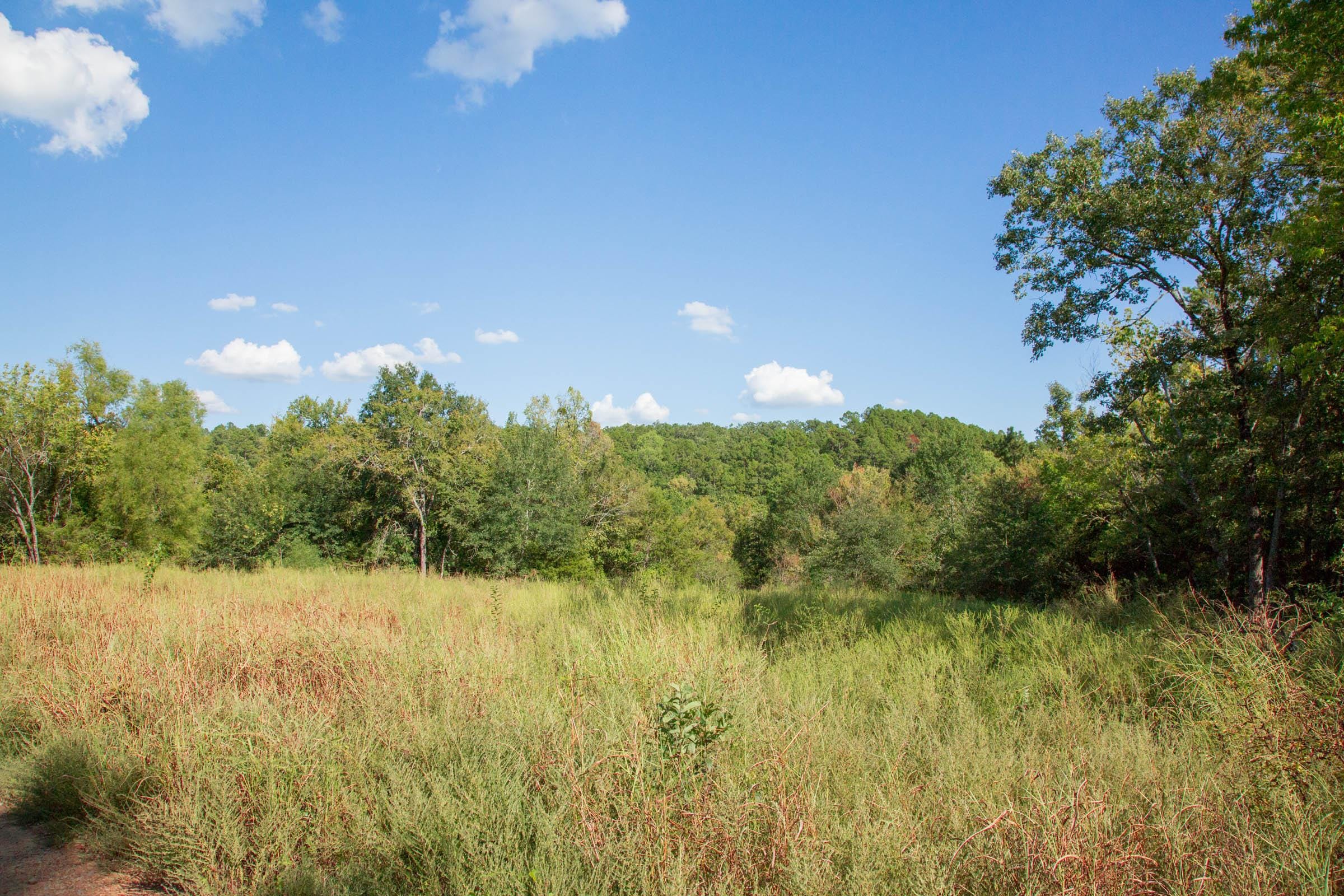 Stone Creek Phase II Tract 267 photo 5