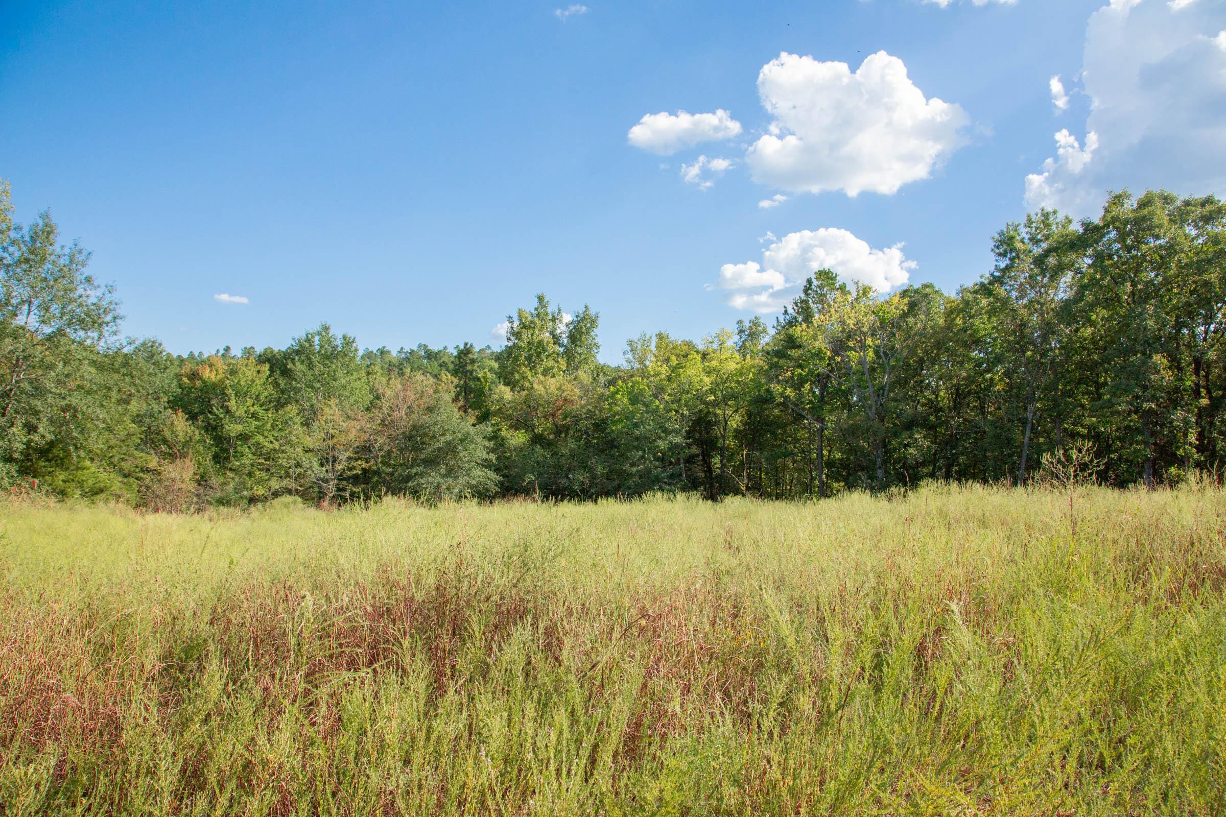 Stone Creek Phase II Tract 267 photo 7