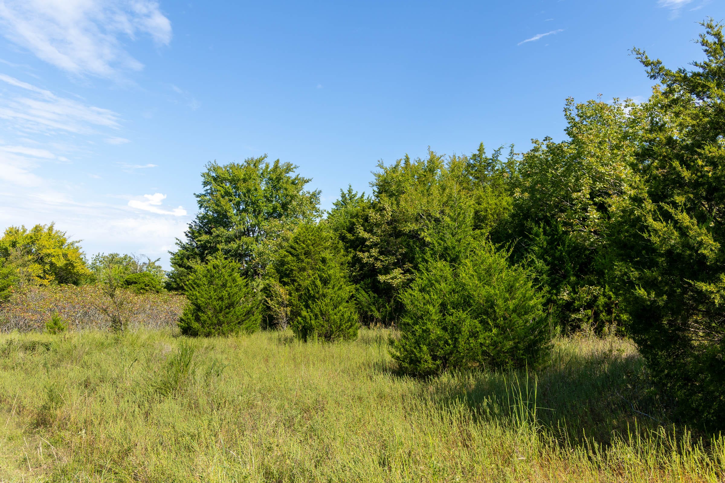 Reserves At Cattail Cove Phase II Tract 82 photo 11