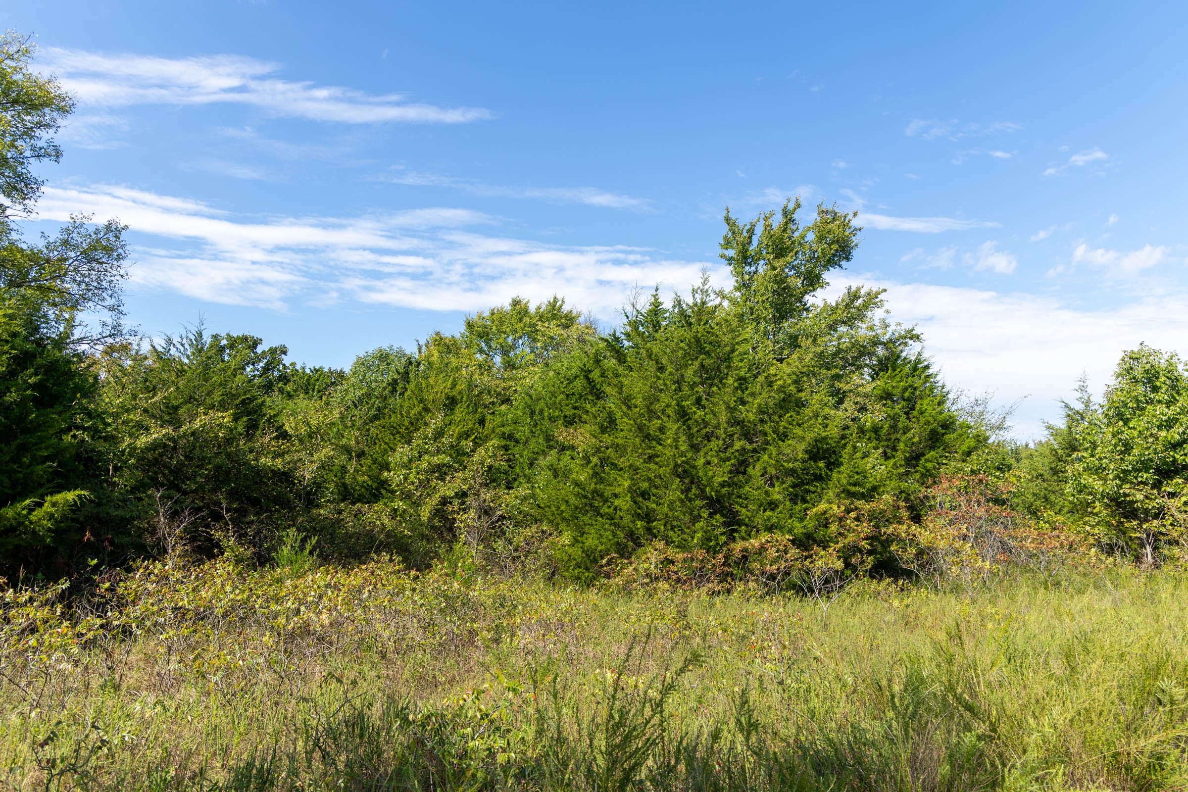 Reserves At Cattail Cove Phase II Tract 82 photo 10