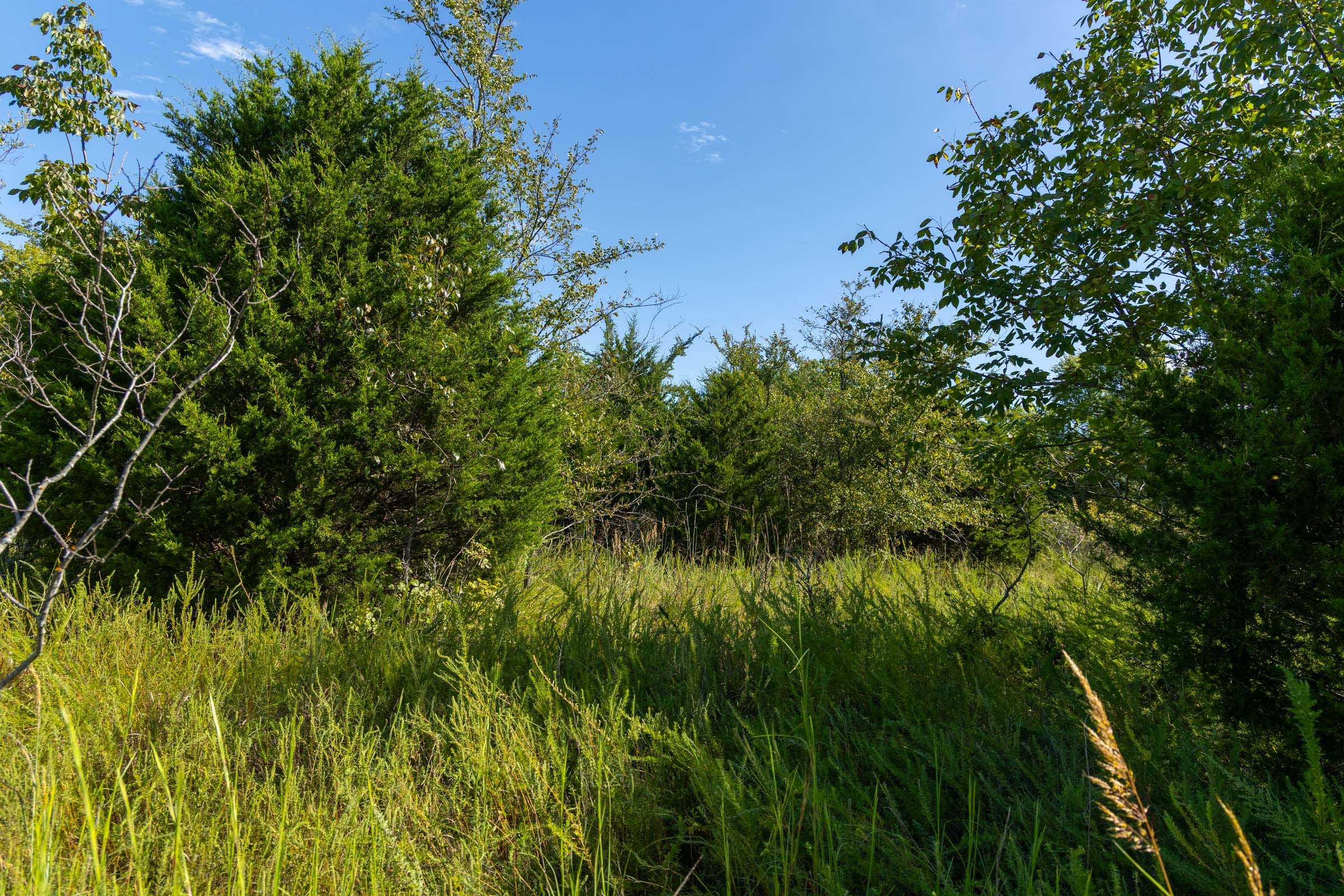 Reserves At Cattail Cove Phase II Tract 82 photo 12