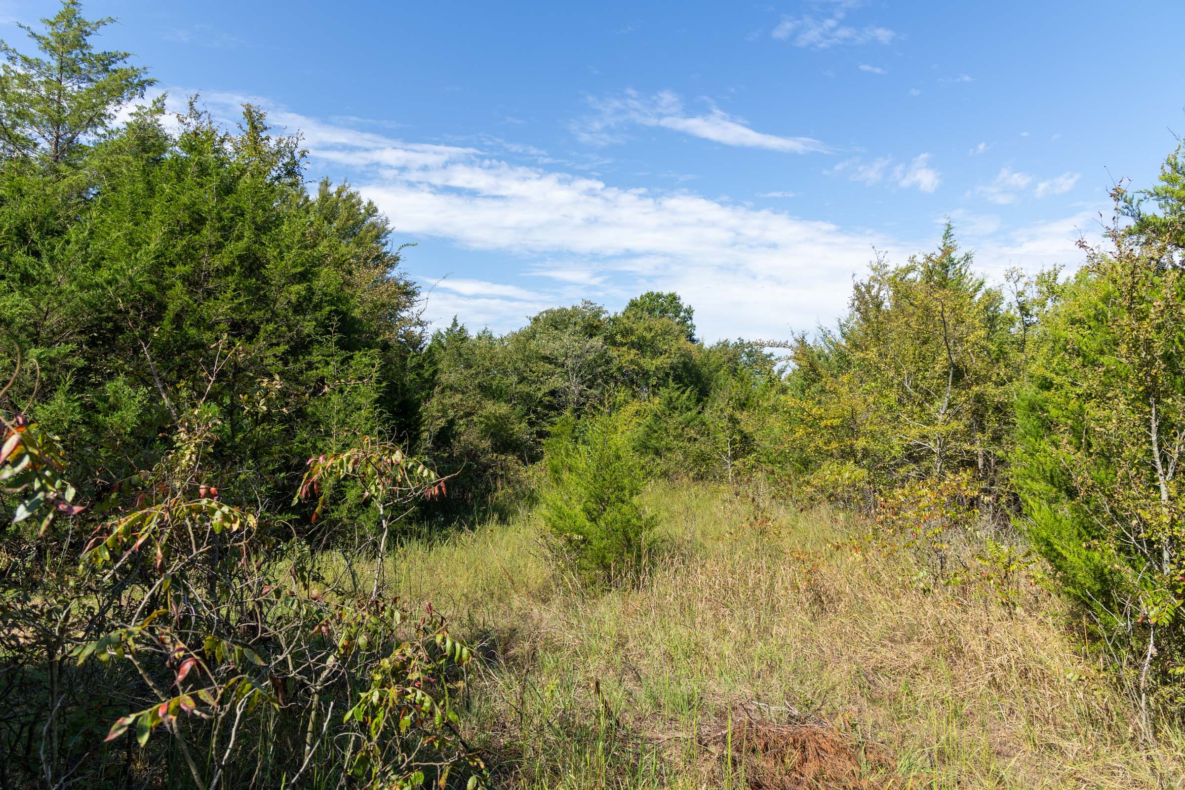 Reserves At Cattail Cove Phase II Tract 82 photo 7