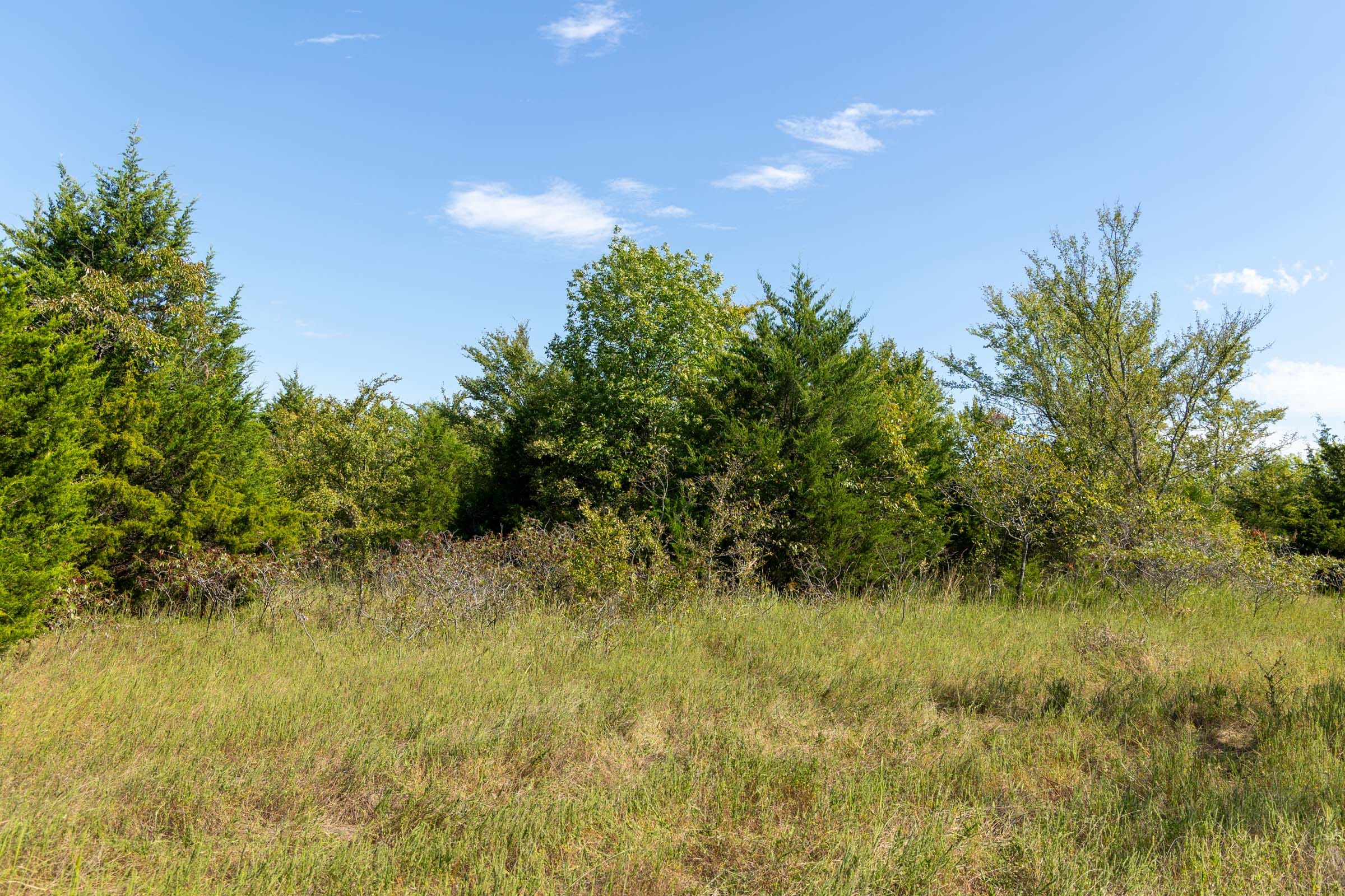 Reserves At Cattail Cove Phase II Tract 82 photo 6