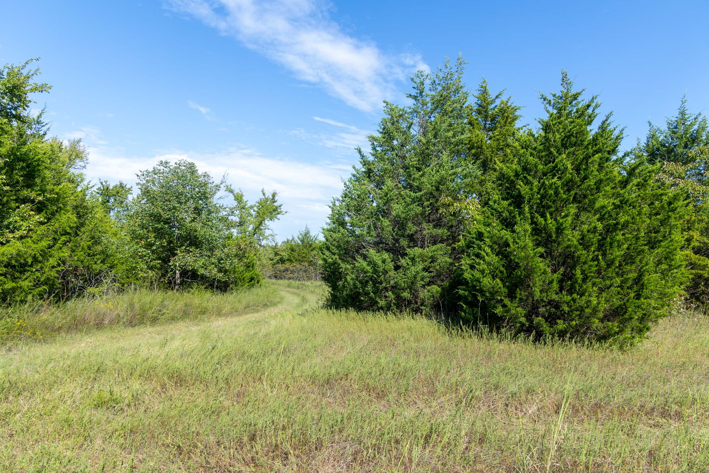Reserves At Cattail Cove Phase II Tract 82 photo 3