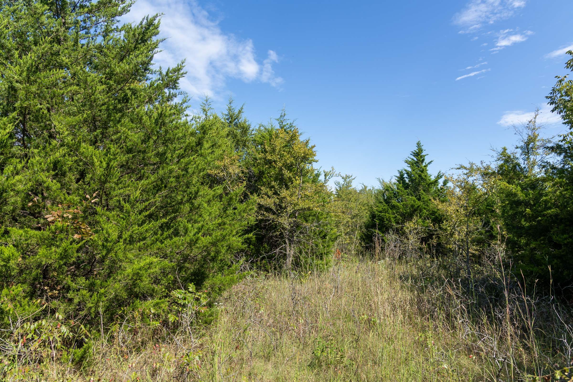Reserves At Cattail Cove Phase II Tract 82 photo 5