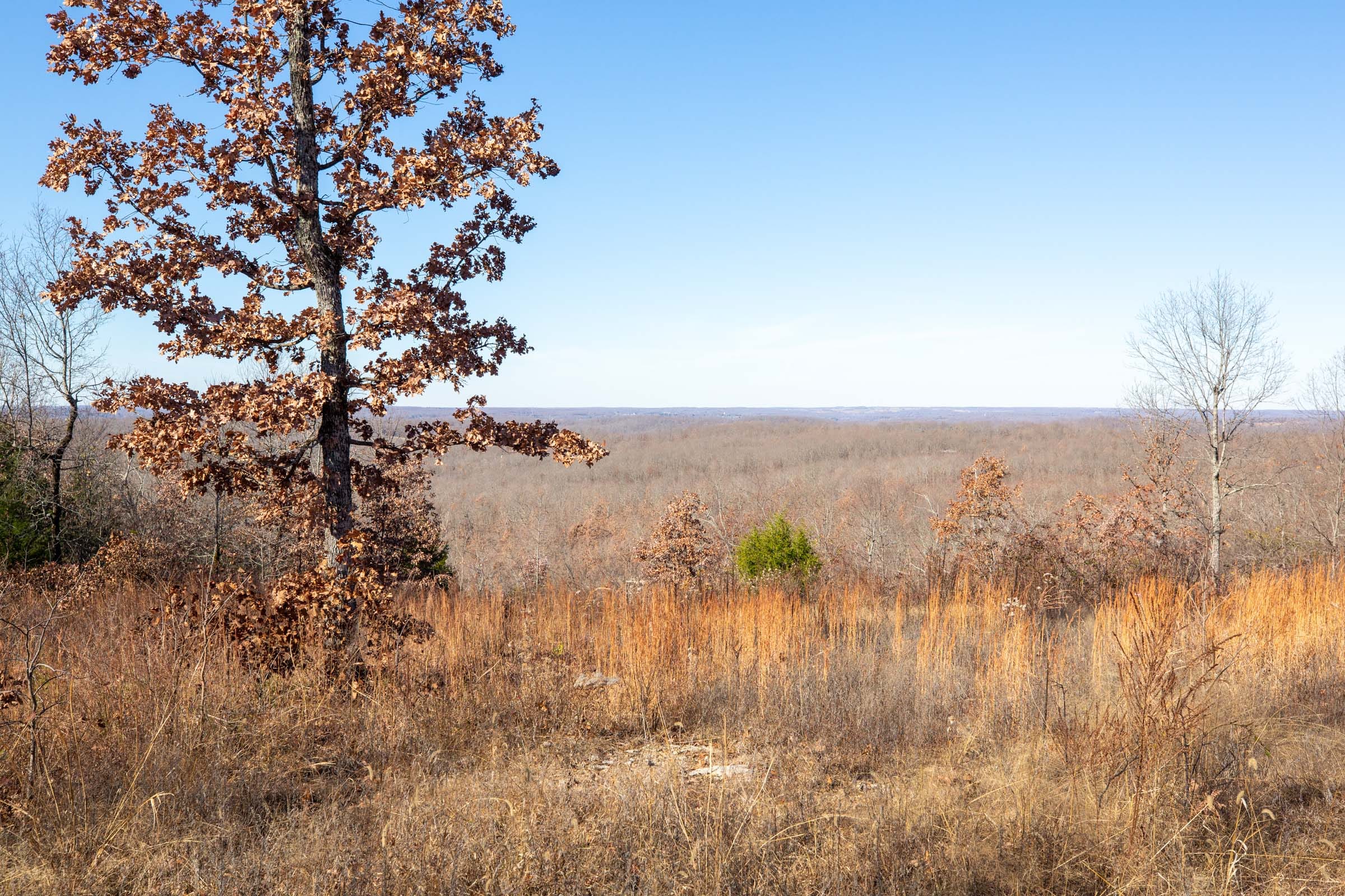 Dutchman Hollow Tract 2 photo 2