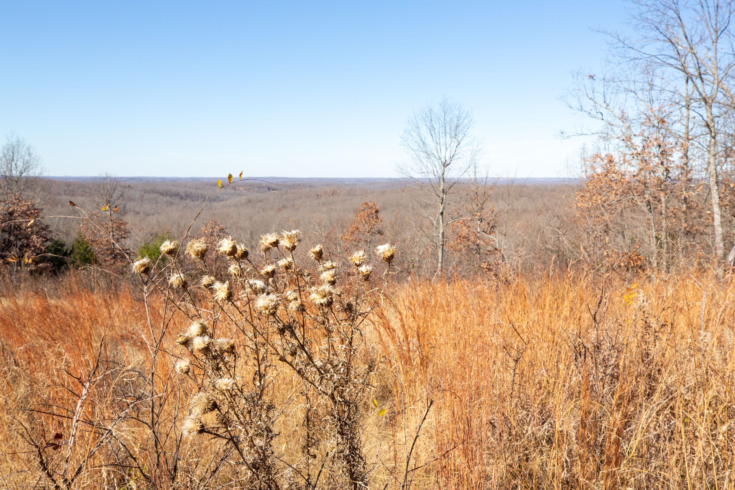 Dutchman Hollow Tract 2 photo 3